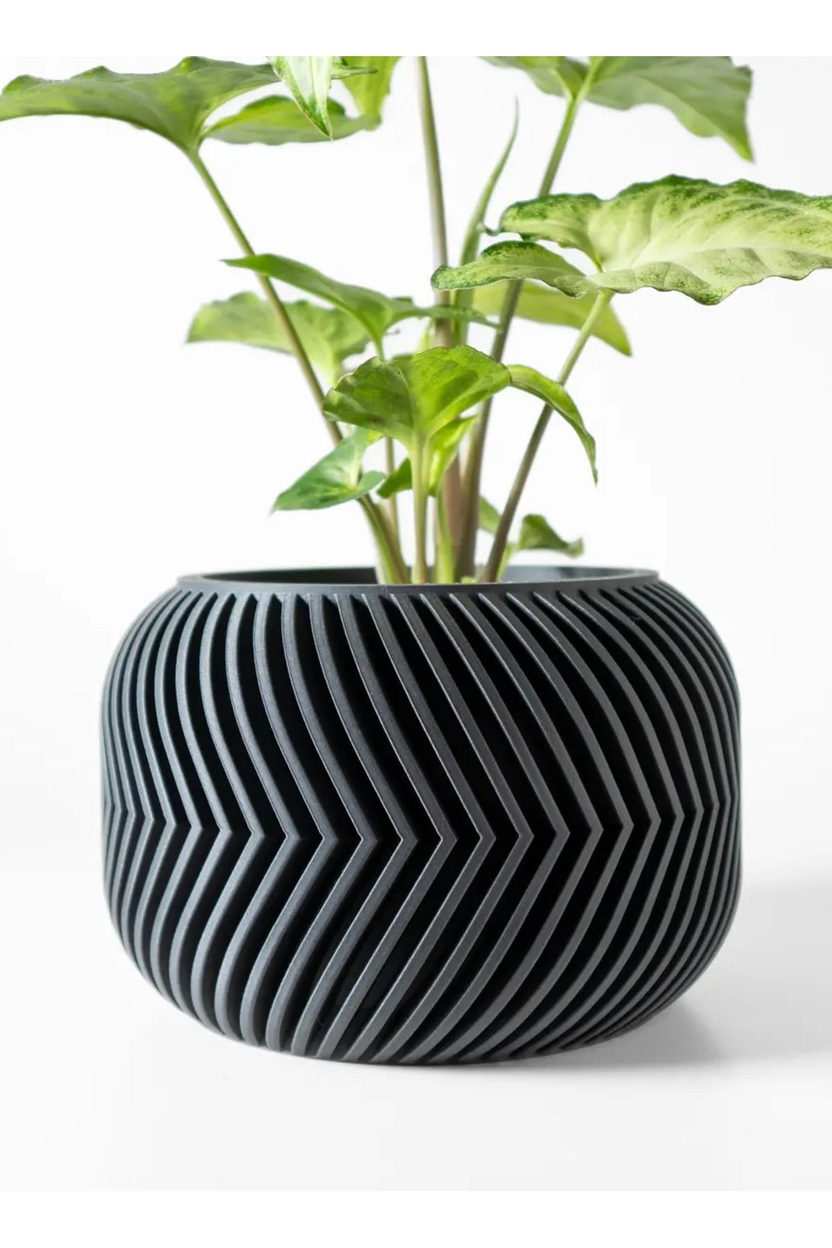3D Brothers-Ervon Vase with Drainage Tray & Stand  Sophisticated and Distinguished Plant Display 4