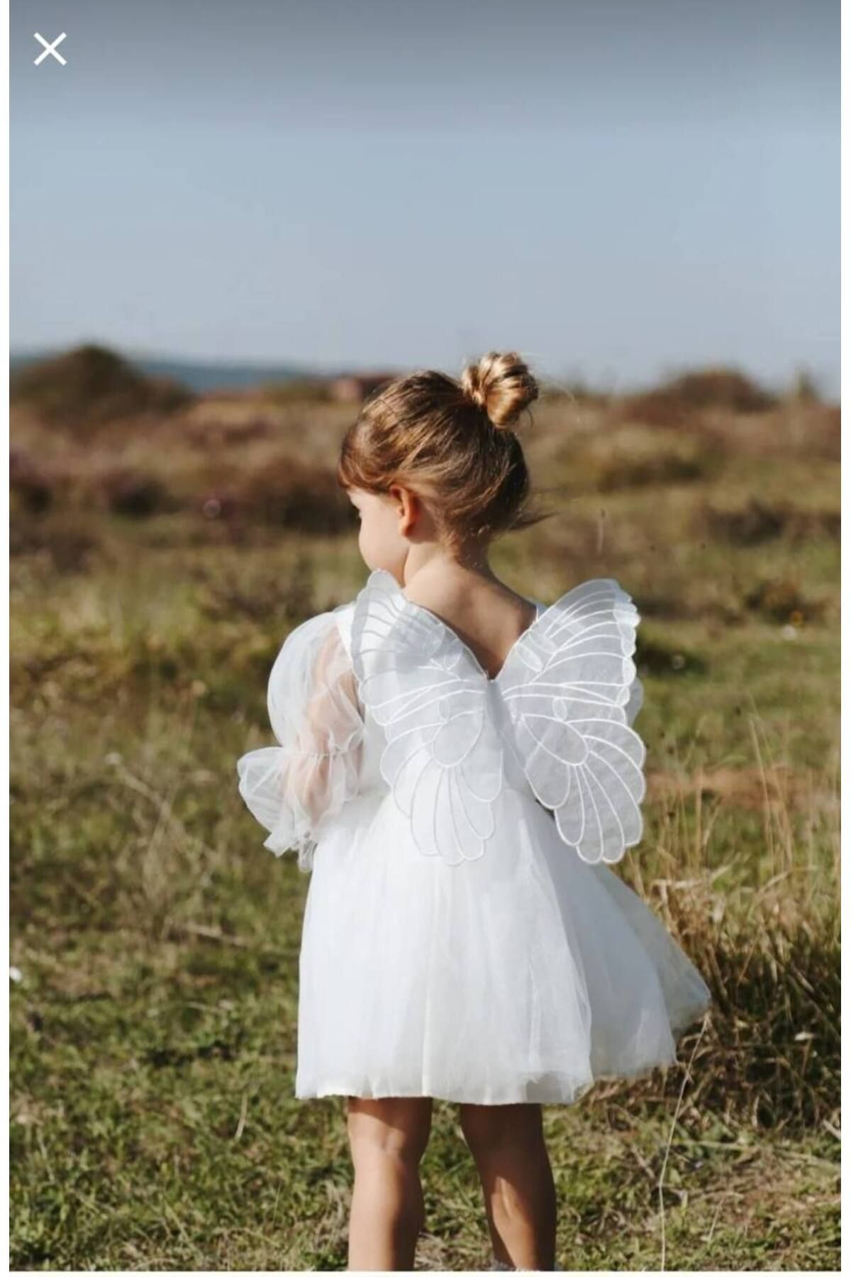 KETBaby-Butterfly Wing Dress 1