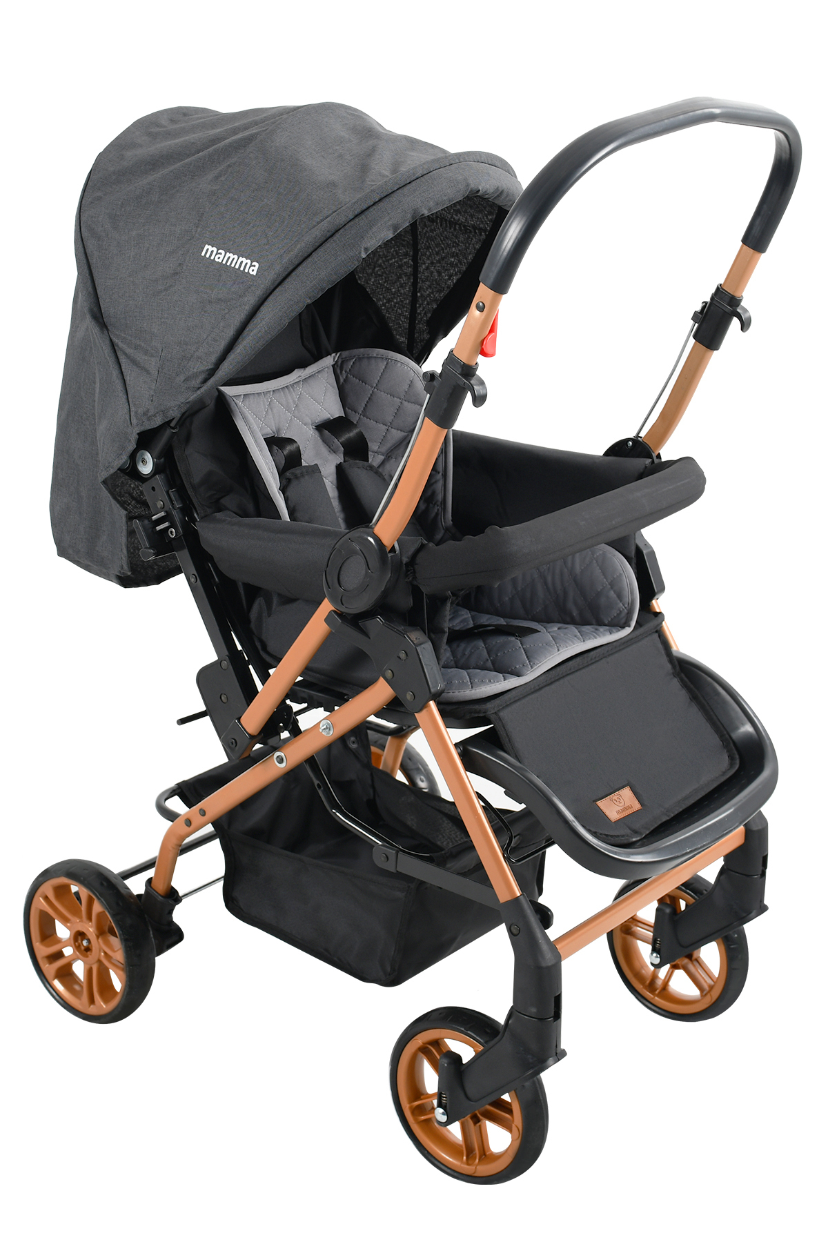 Mamma King Çift Yönlü Bebek Arabası + Ayak Örtüsü ve Yağmurluk fotoğrafı 2 (önizleme)