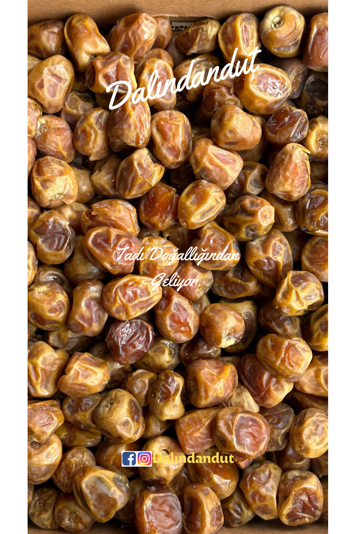 Dalındandut Yeni Mahsul Doğal Organik Yaş Hurma (Sukkari) 500 gr