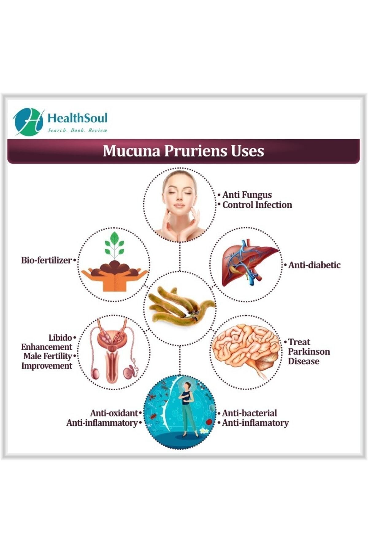 Now-L-dopa Dopa Mucuna الدوبامين دعم الدماغ مُستخلص كابيكاتشو القياسي ينطبق بشكل طبيعي 15% 2