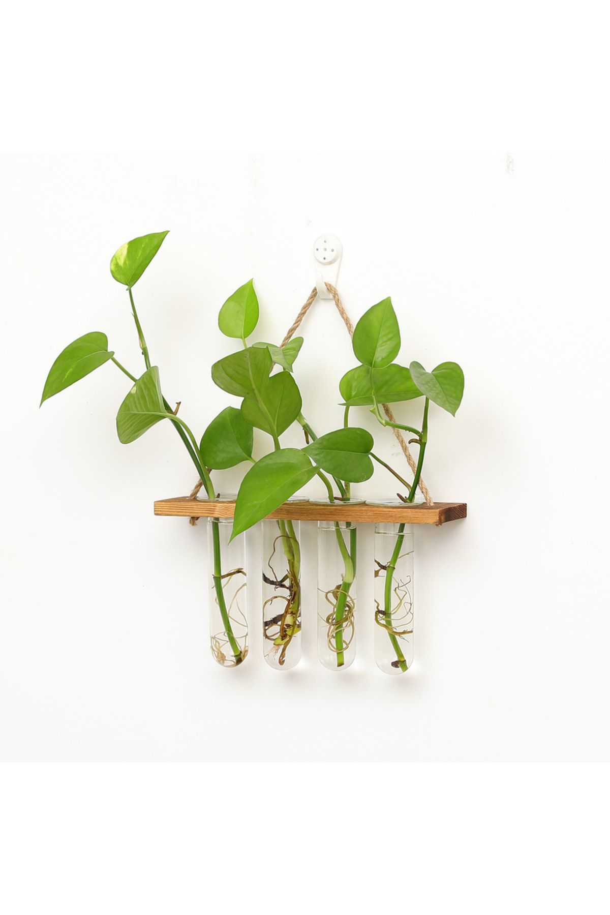 Choice-Wall Hanging Test Tube, Glass Planter Plant Vase with Wooden Stand & Strings Rope, Glass Planter ... 1