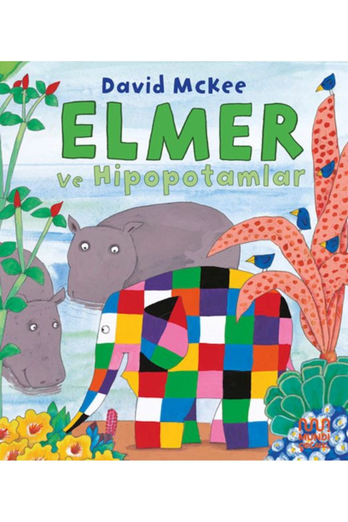 Destek Yayınları Elmer ve Hipopotamlar