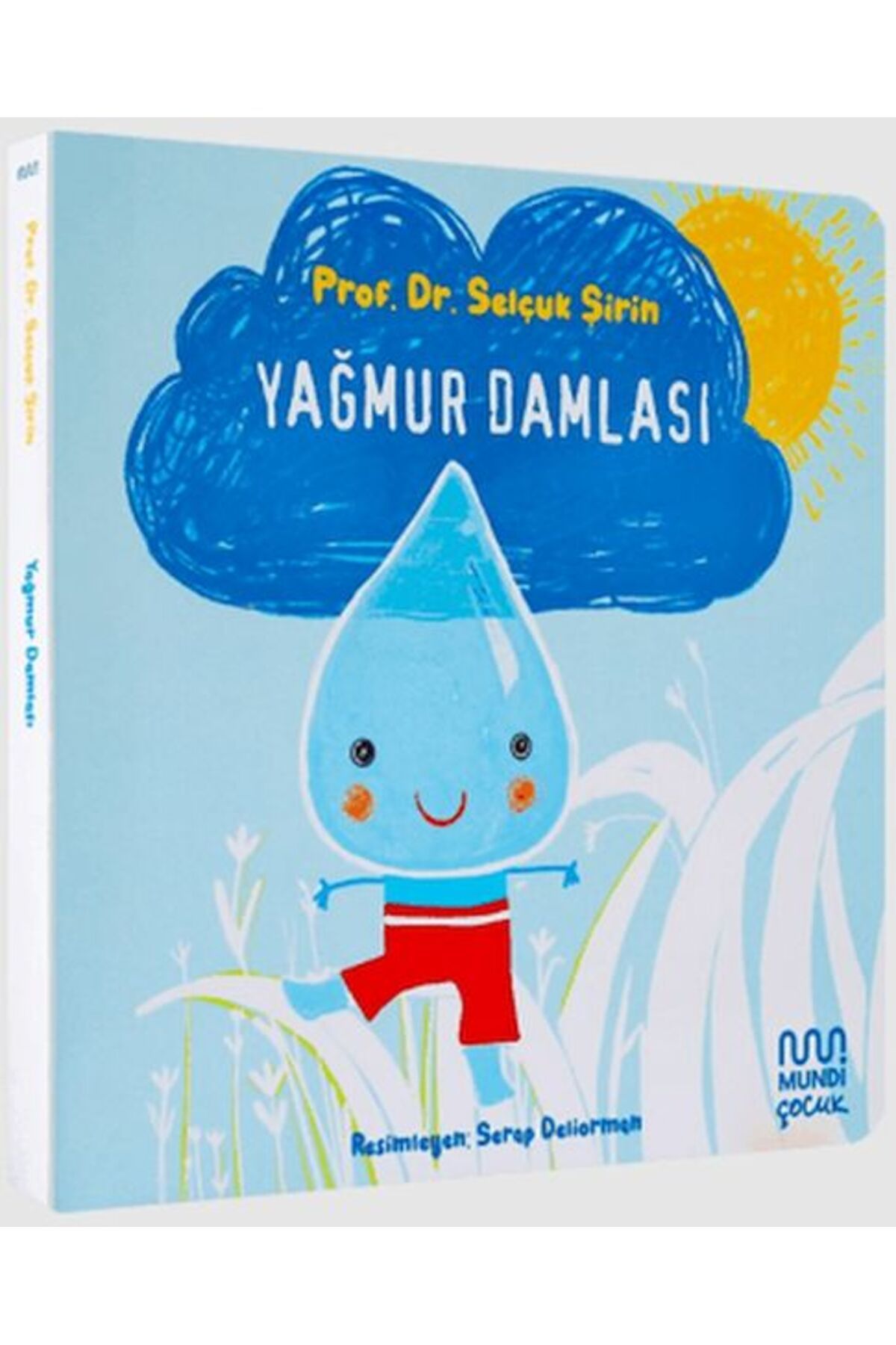 Destek Yayınları Yağmur Damlası