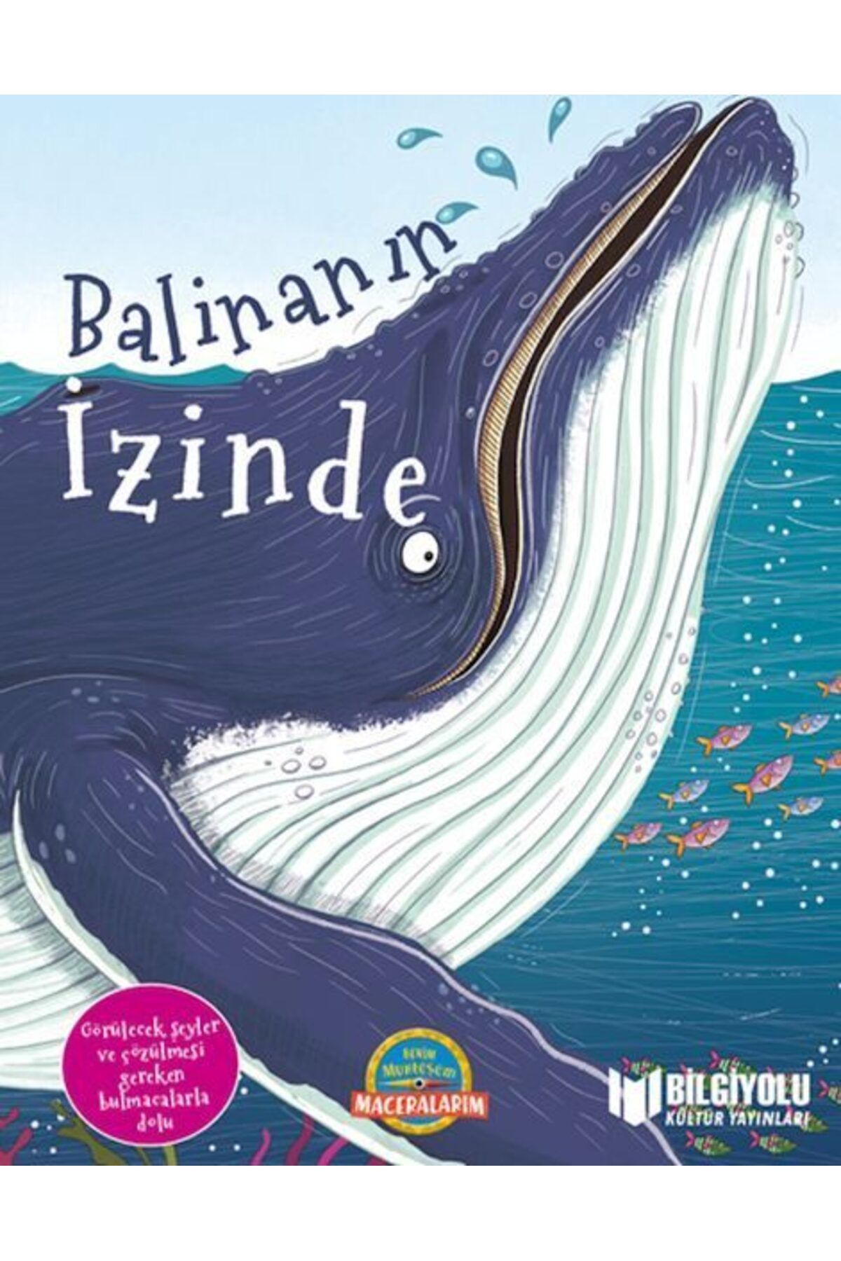 Destek Yayınları Balinanın İzinde Ciltli