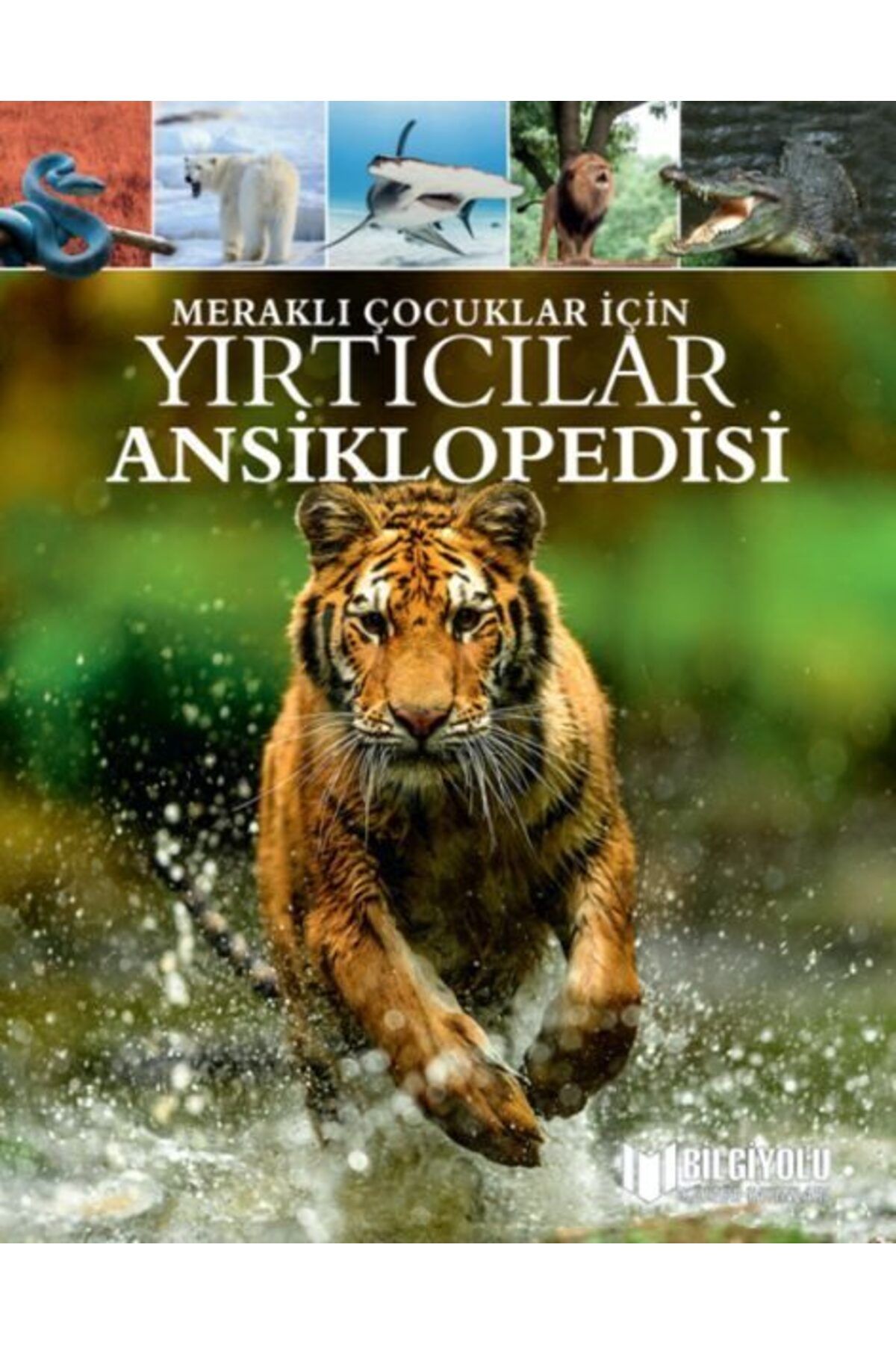 Destek Yayınları Meraklı Çocuklar İçin Yırtıcılar Ansiklopedisi