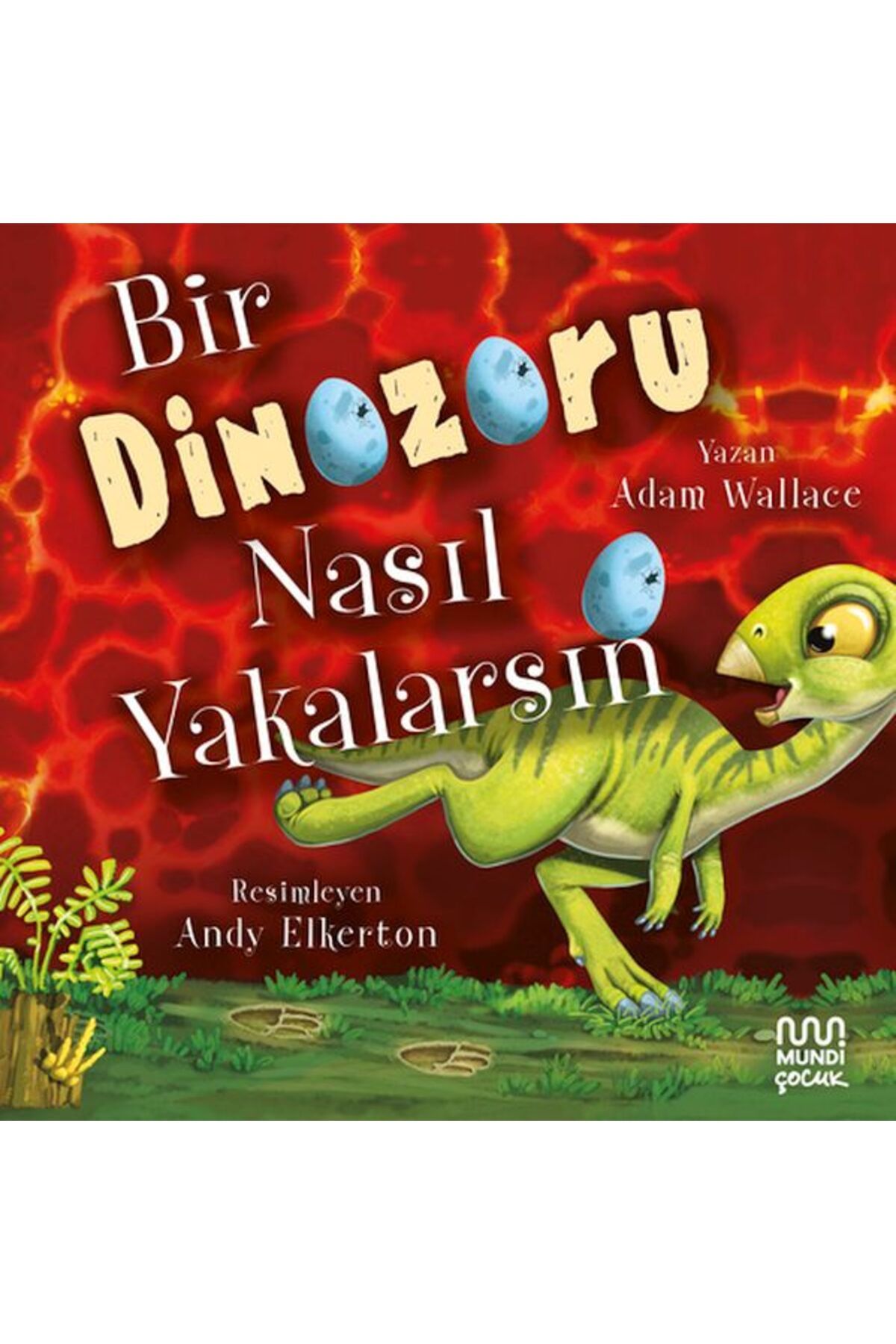 Destek Yayınları Bir Dinozoru Nasıl Yakalarsın