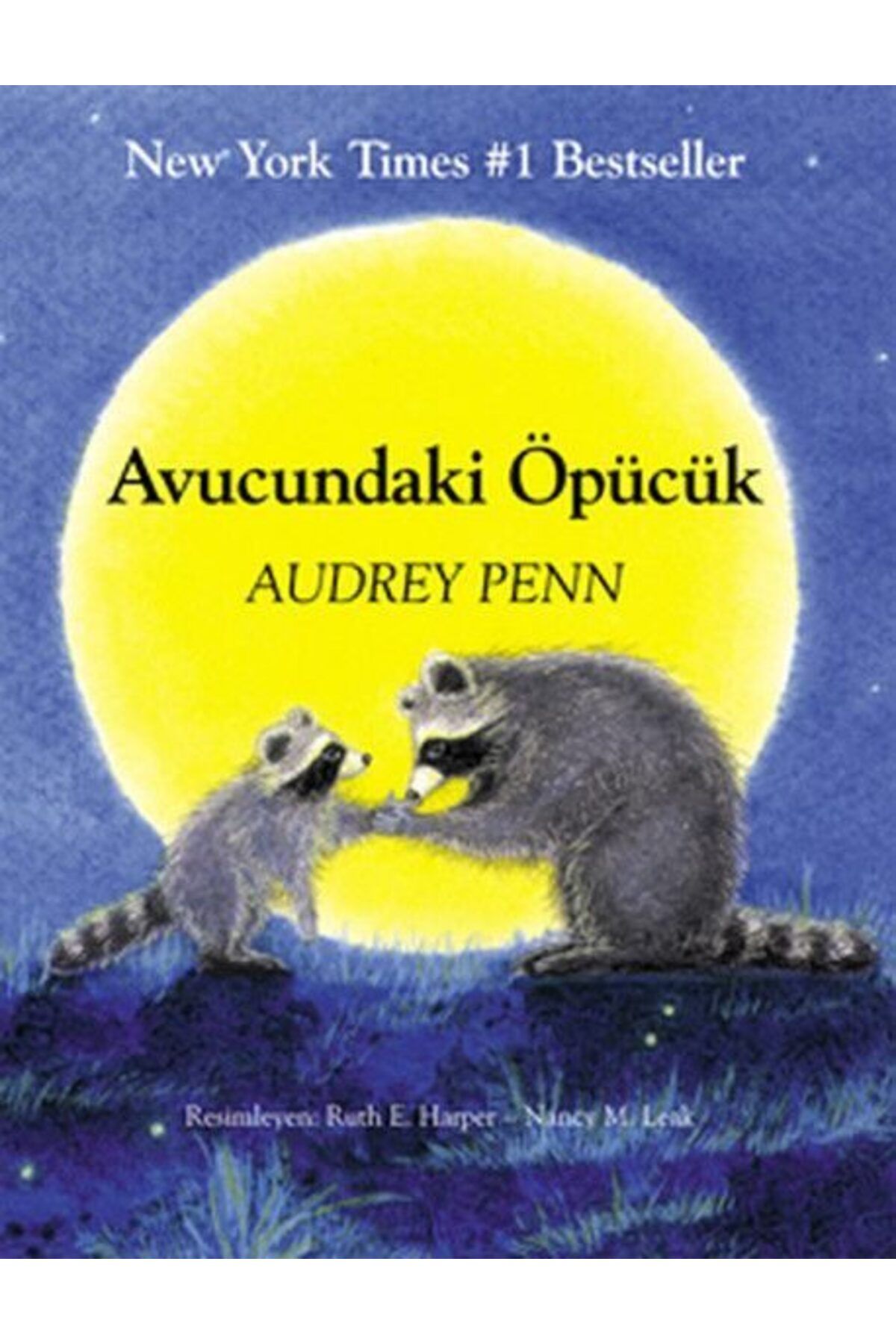 Destek Yayınları Avucundaki Öpücük