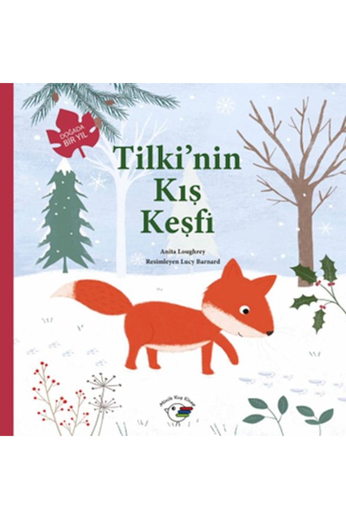 Minik Kuş Kitap Tilkinin Kış Keşfi Doğada Bir Yıl