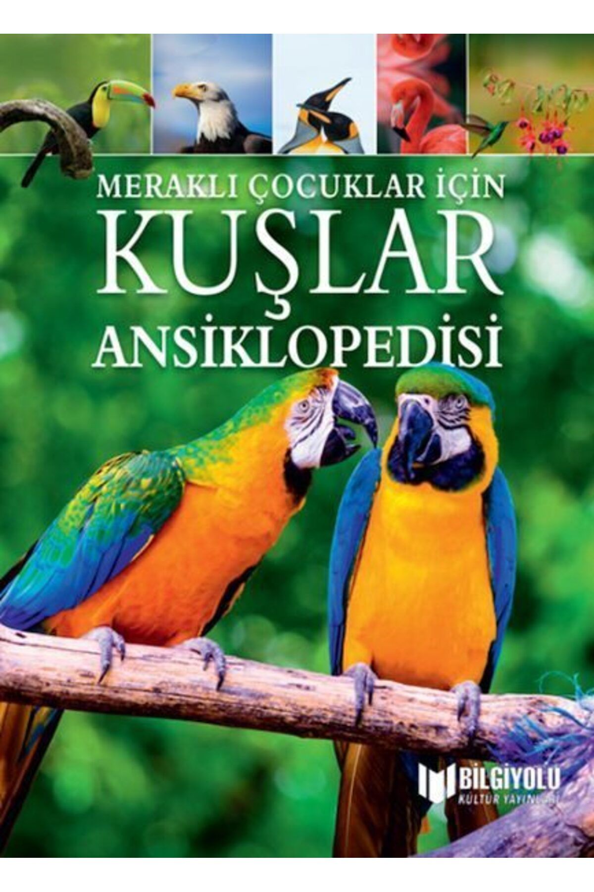 Destek Yayınları Meraklı Çocuklar İçin Kuşlar Ansiklopedisi
