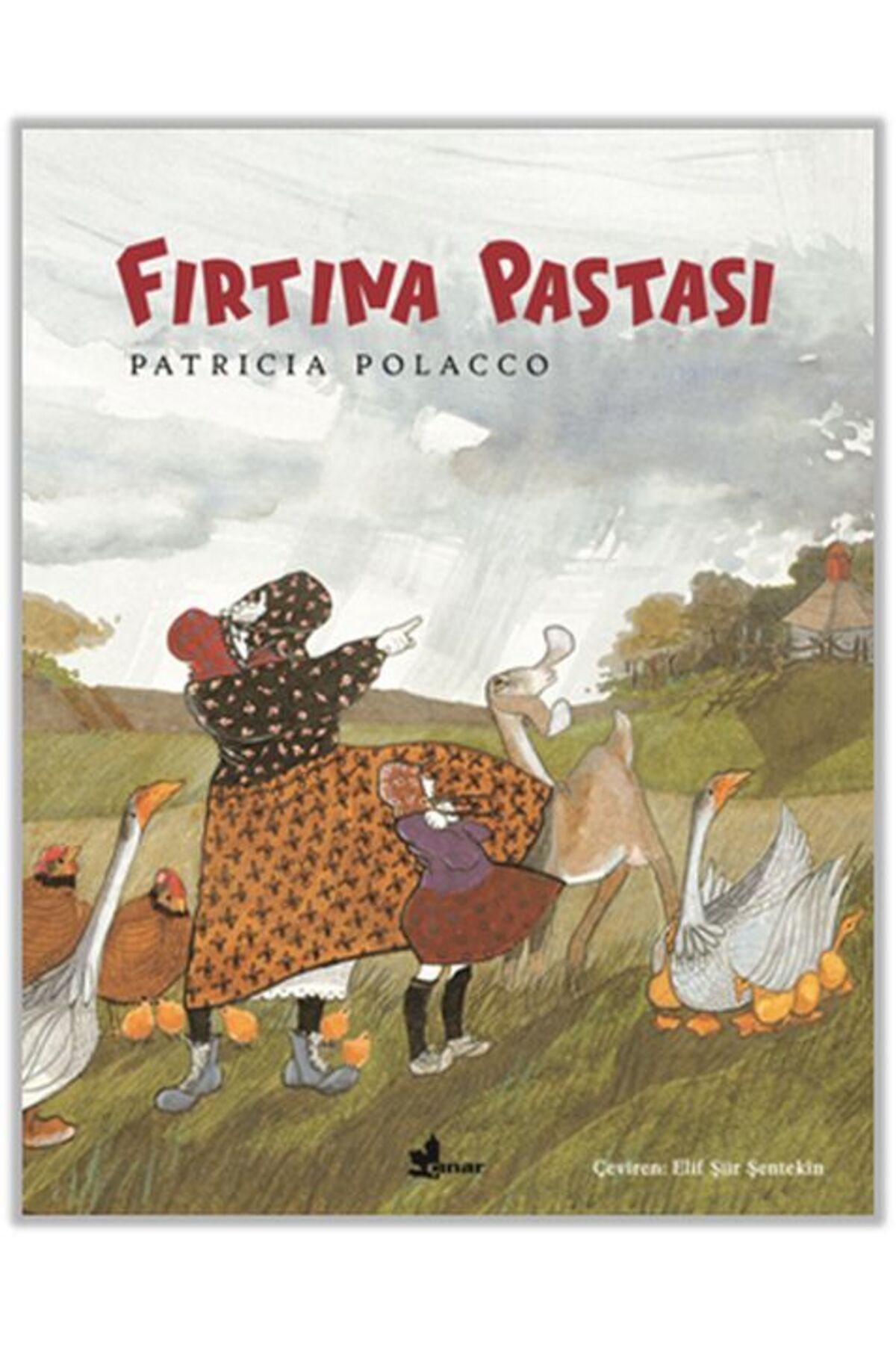 Çınar Yayınları Fırtına Pastası