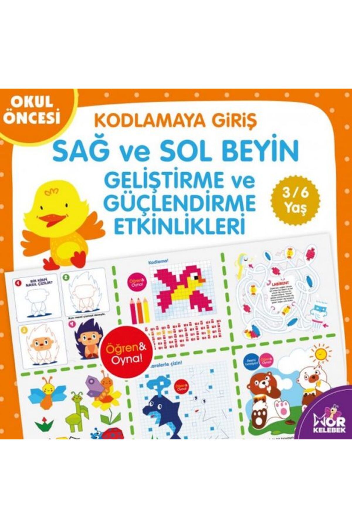 Mor kelebek Sağ-Sol Beyin Geliştirme ve Güçlendirme Etkinlikleri - Kodlamaya Giriş