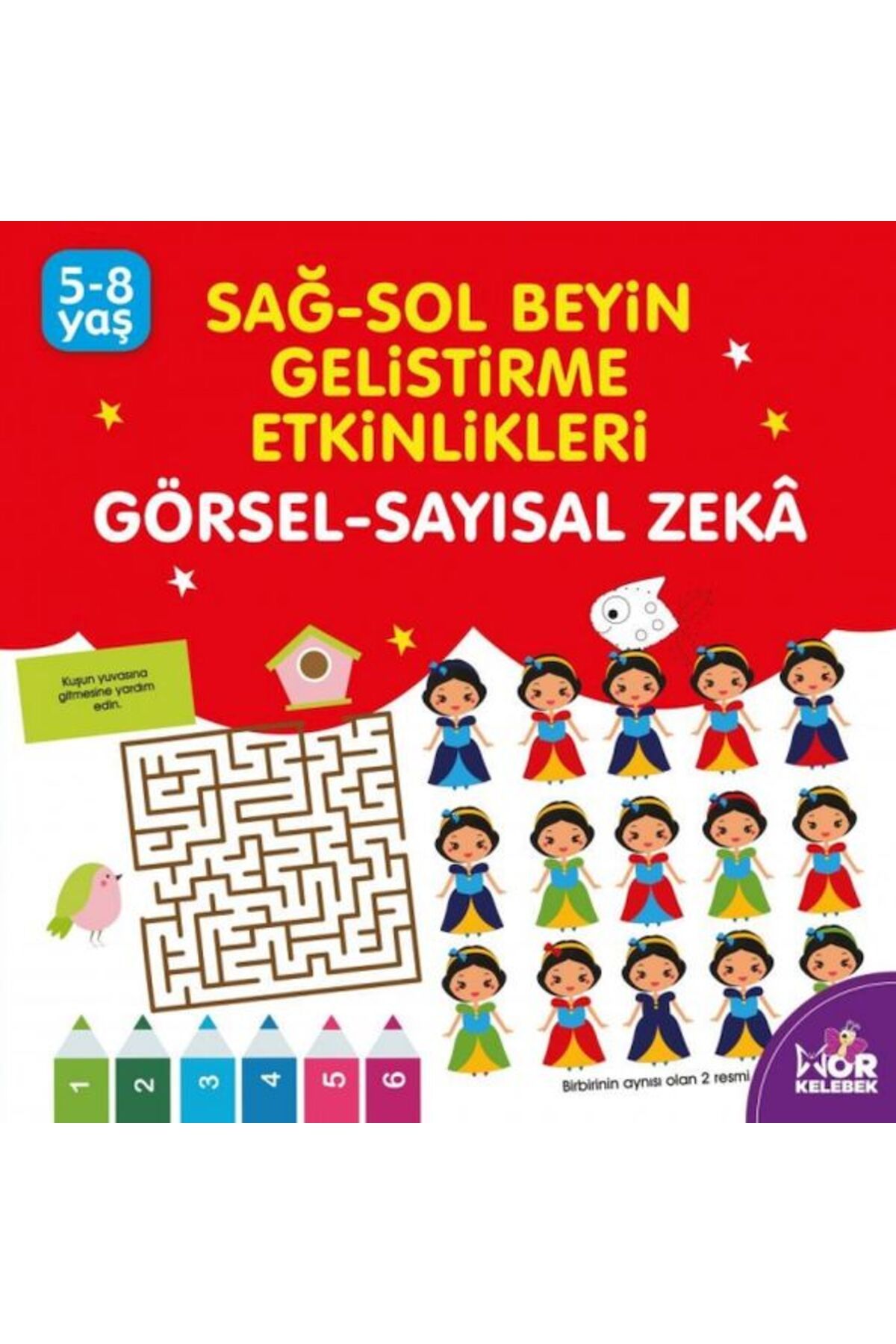 Mor kelebek Sağ-Sol Beyin Geliştirme Etkinlikleri - Görsel-Sayısal Zeka