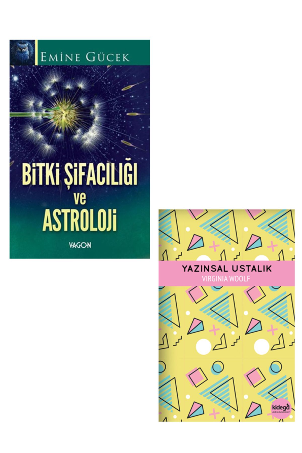 Vagon Kitap Bitki Şifacılığı ve Astroloji Emine Gücek - Yazınnsal Ustalık Hediye ( 2 Kitap Takım )