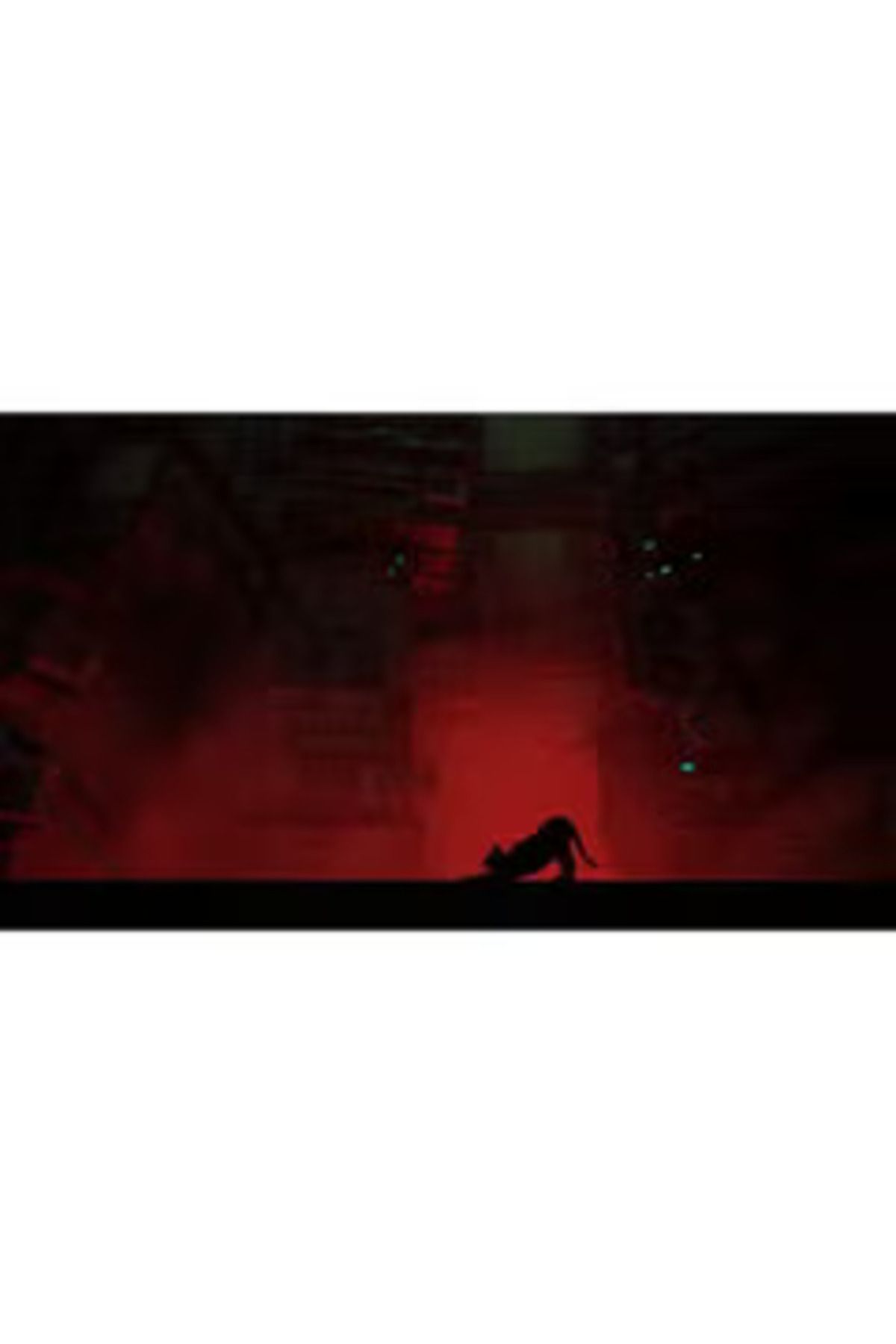 annapurna-Stray PS5 Version - Action-Adventure Game 4