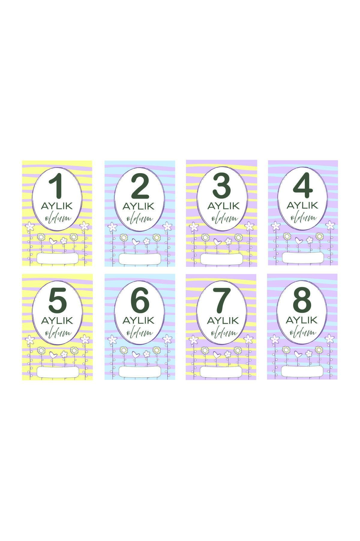 Mifold Mine Memory Bebek - Hamile Fotoğraf Anı Hatıra Kartı Seti 40 Adet - Hediyelik (ÇİÇEKLER) fotoğrafı 4 (önizleme)