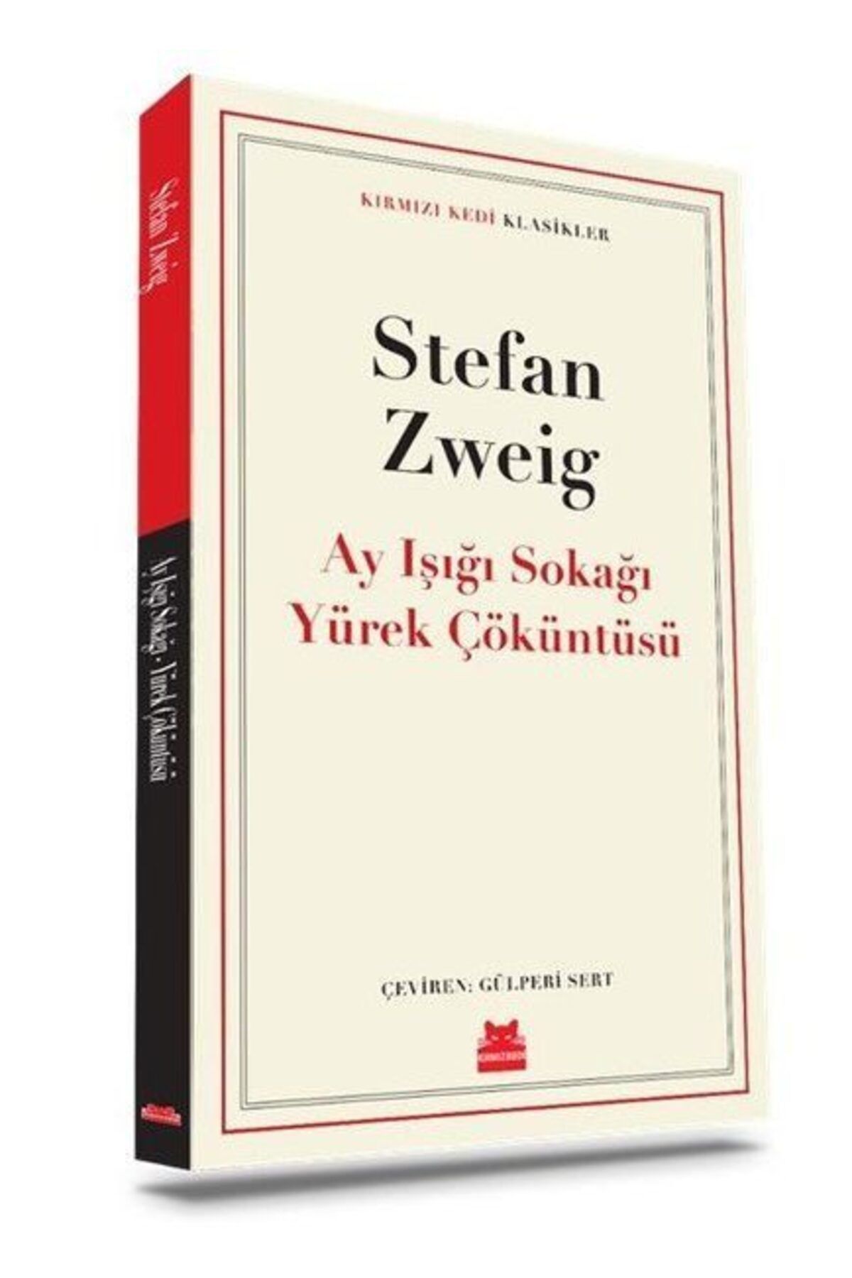 Destek Yayınları Ay Işığı Sokağı Yürek Çöküntüsü