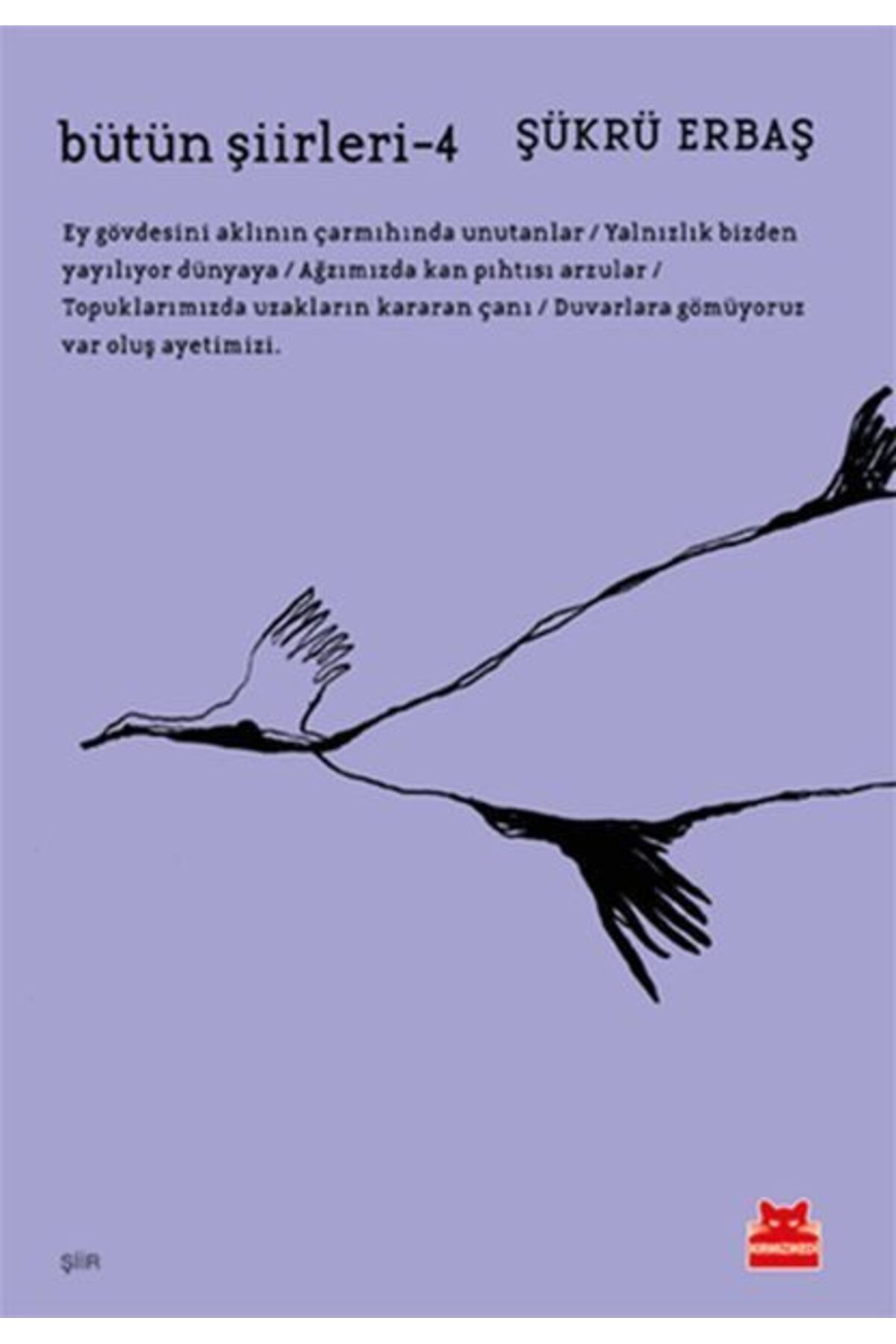 Destek Yayınları Bütün Şiirleri 4