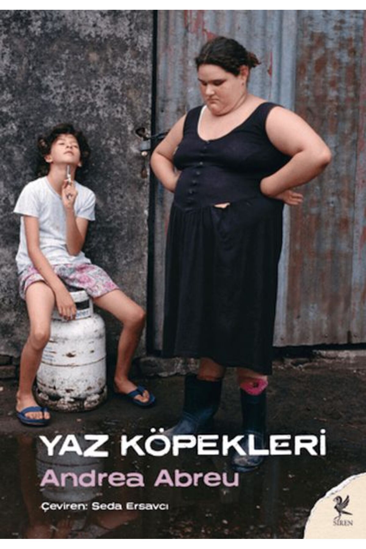 Karatay Yayınları Yaz Köpekleri