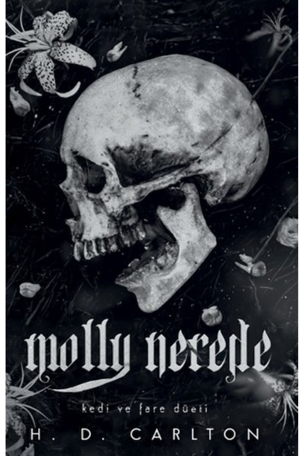 Destek Yayınları Molly Nerede