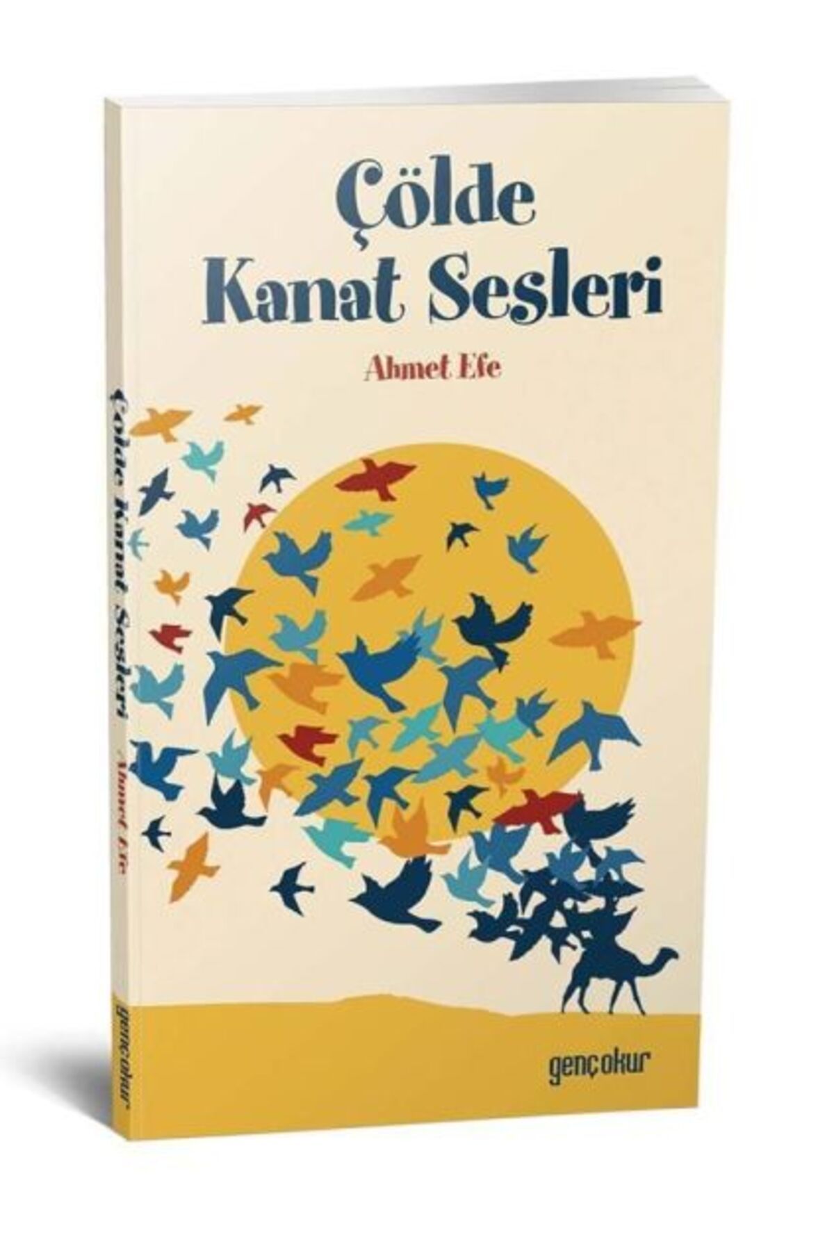 Genç Okur Çölde Kanat Sesleri