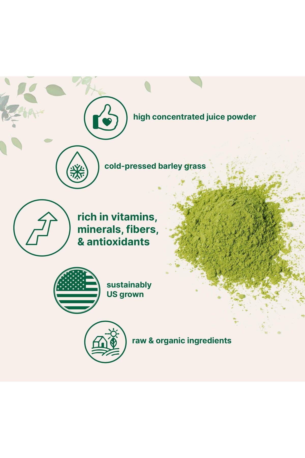 Micro ingredients-Organic Barley Grass Juice Powder, 10oz, Cold Pressed, US Grown, Rich in Nutrients, Vegan 3