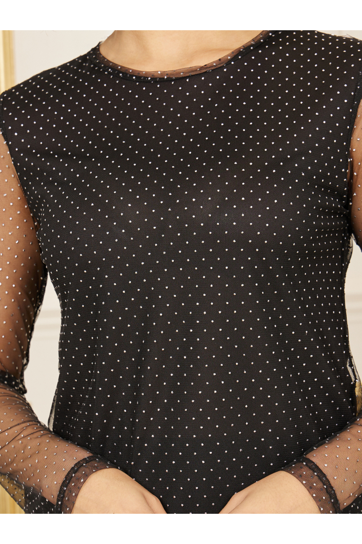 Styli-Embellished Mesh Sheer Sleeves Top 4