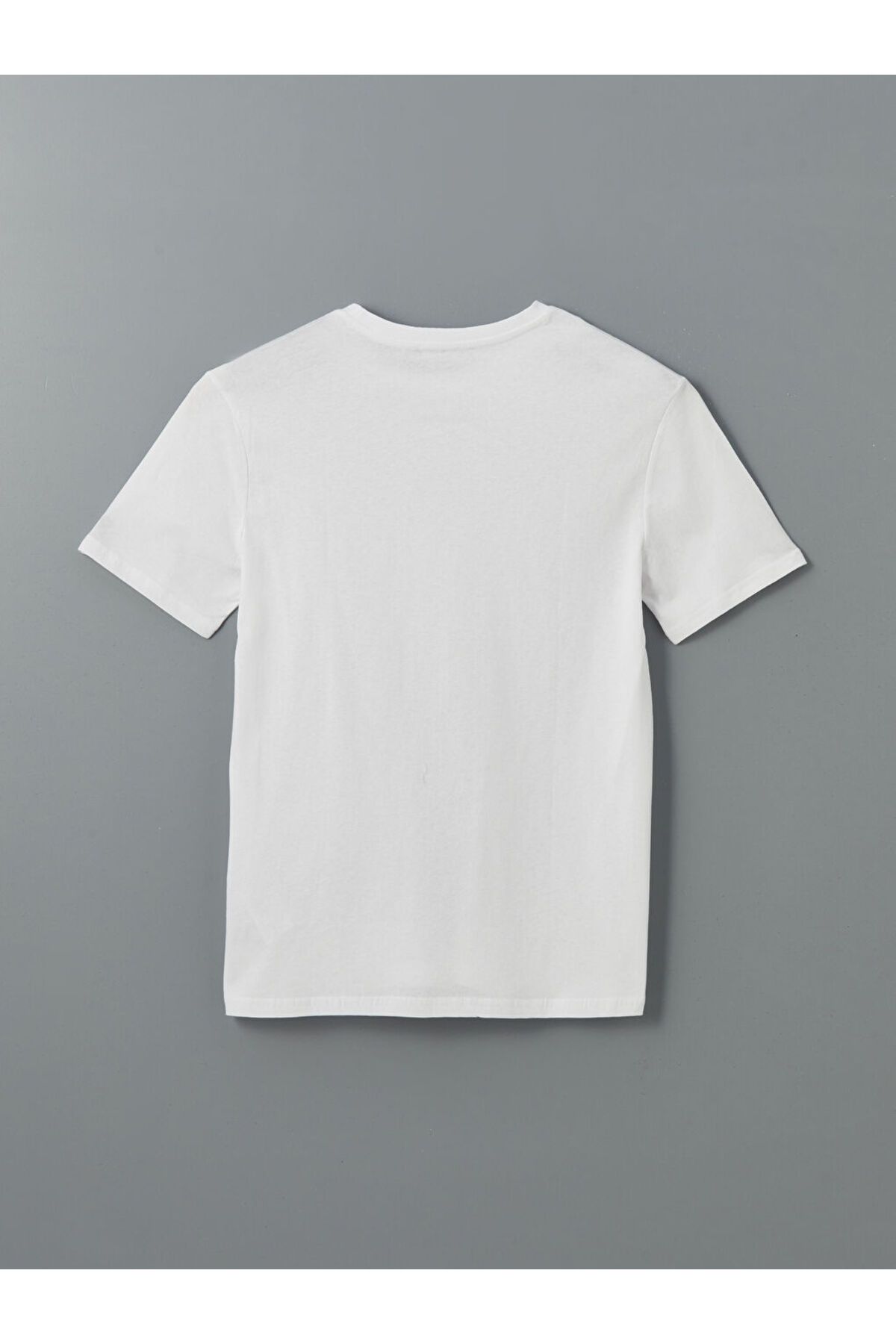 LC Waikiki-LCW ECO Rundhalsausschnitt Kurzarm bedrucktes gekämmtes Herren-T-Shirt 2
