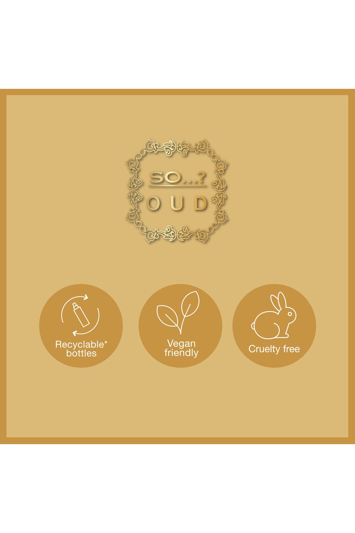 SO-Silk Oud Body Mist Long Lasting Fragrance Spray 150ml 6