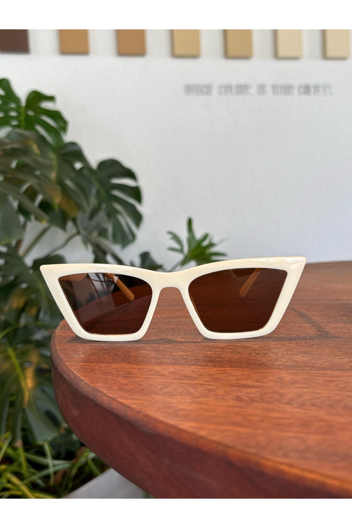 funeyes-Cat Eye Slanted Brown Cream Glasses Sunglasses Uv400 Case Cloth Gift 1