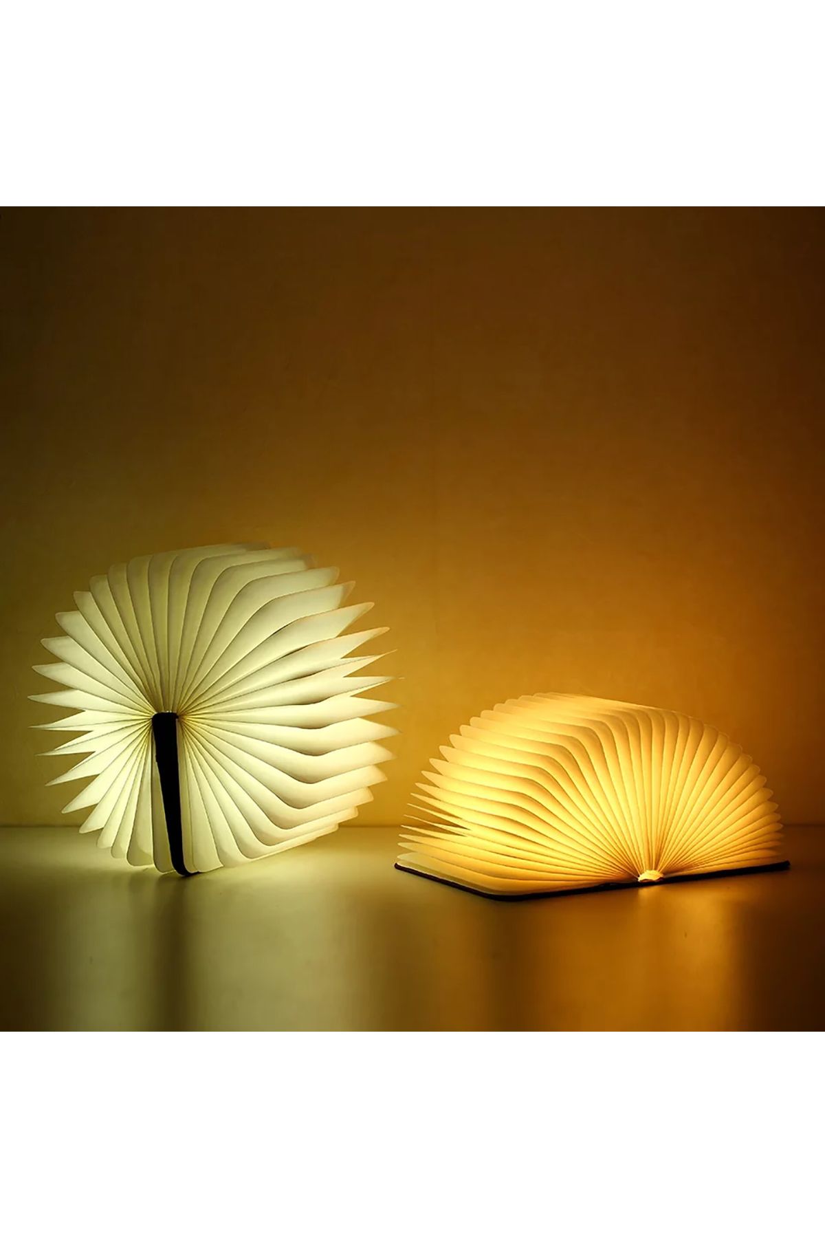 sharpdo-Mini White Maple Book Lamp 2