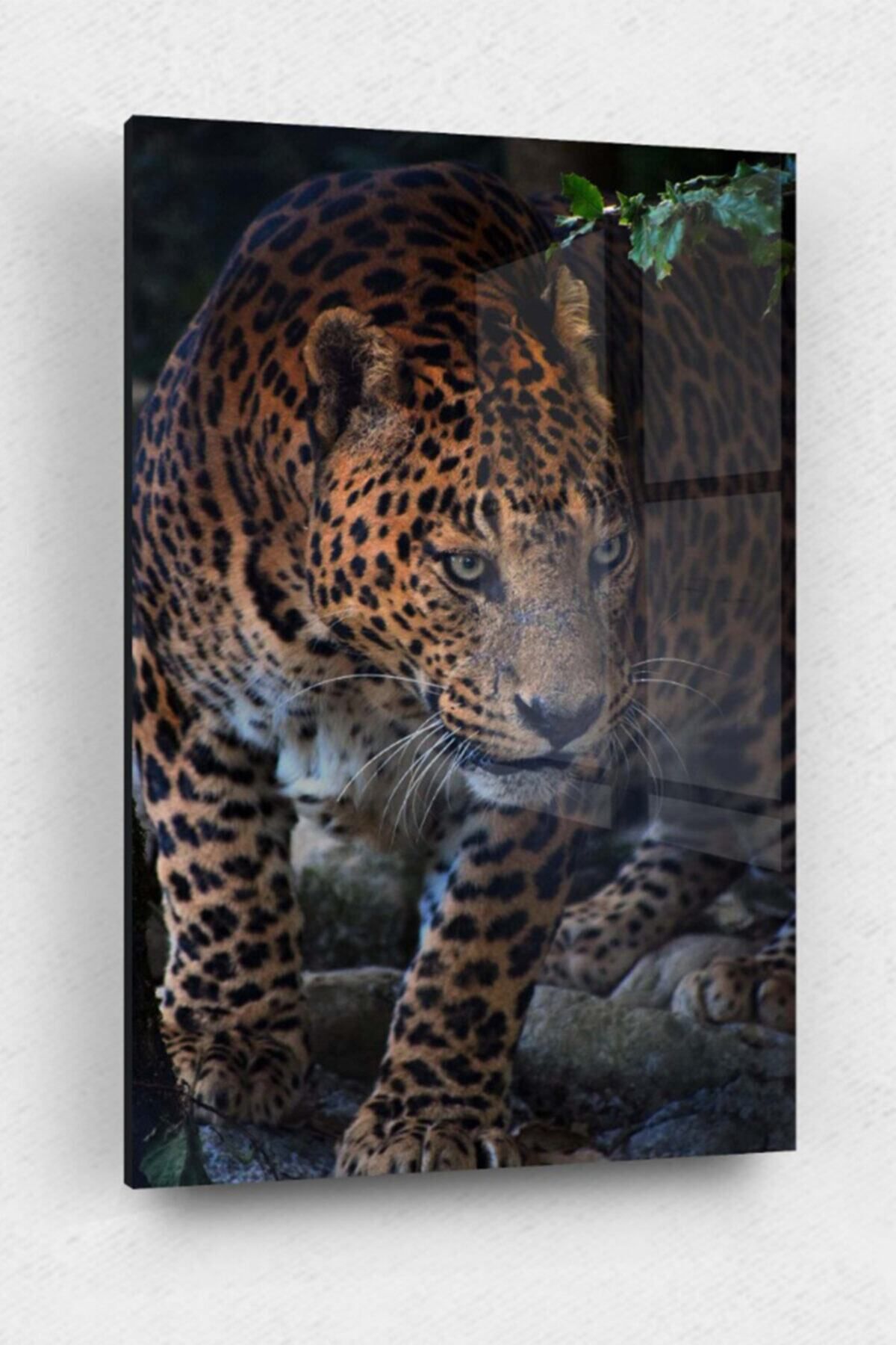 Evlika Leopar Cam Tablo, Leopar Tablo, Doğa Tabloları, Duvar Dekor, Büyük Tablo, Cam Duvar Tablo