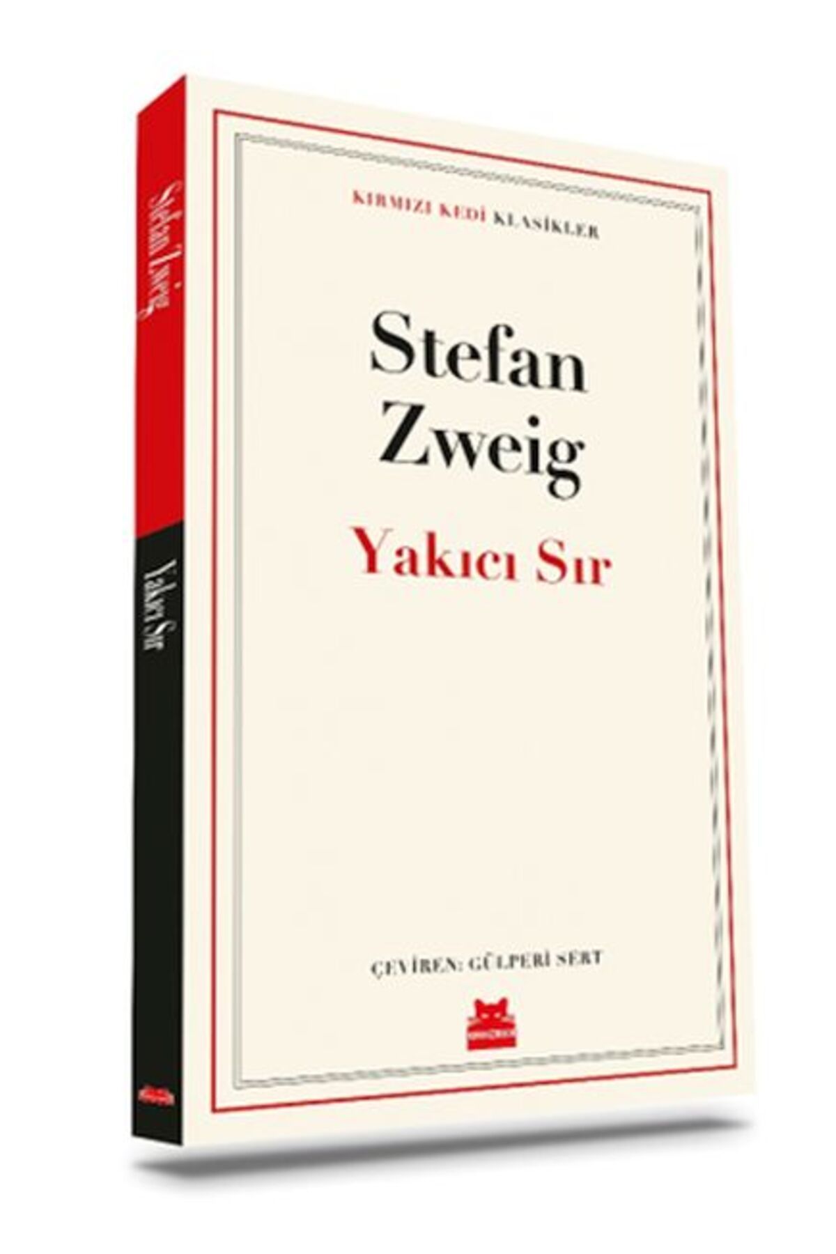 Destek Yayınları Yakıcı Sır