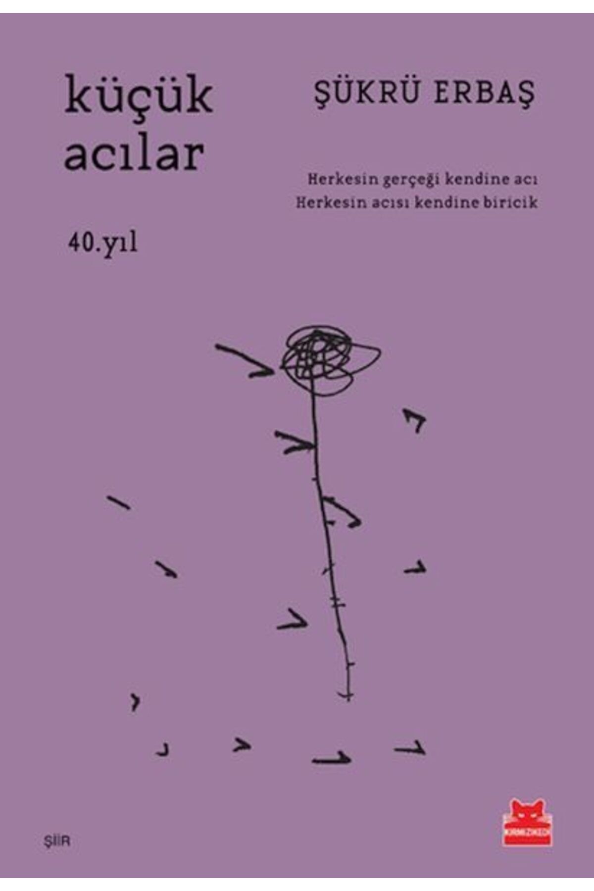 Destek Yayınları Küçük Acılar