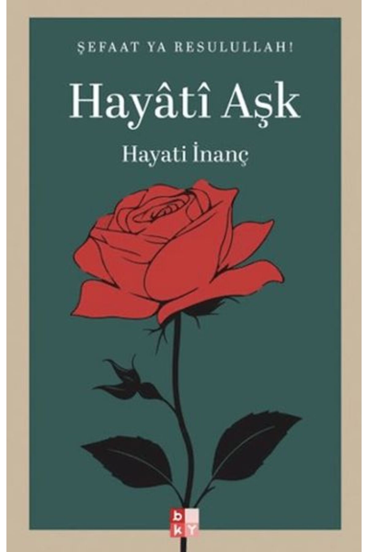 Destek Yayınları Hayati Aşk