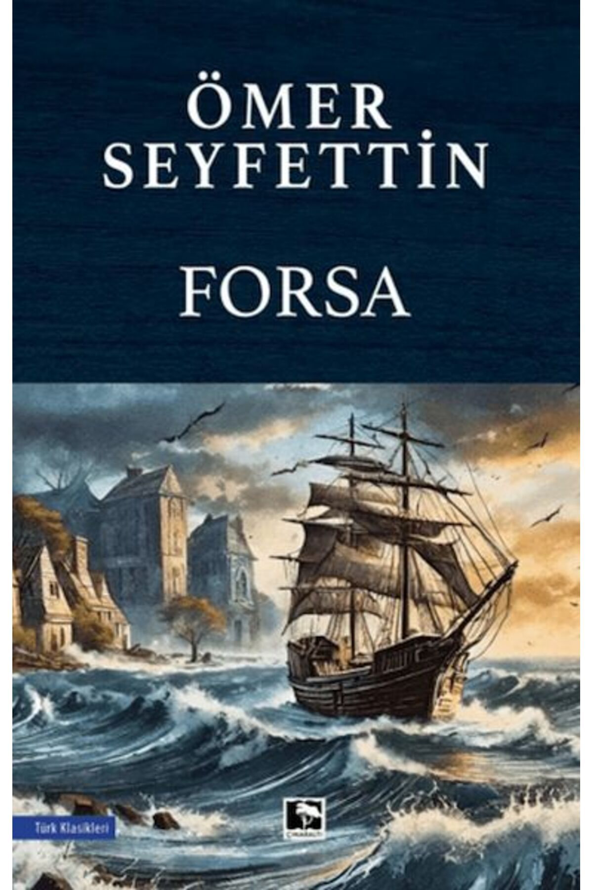 Çınaraltı Yayınları Forsa