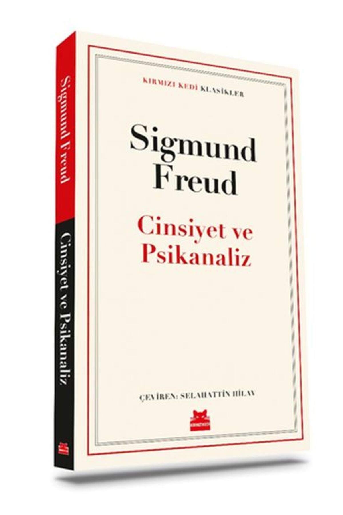 Destek Yayınları Cinsiyet ve Psikanaliz