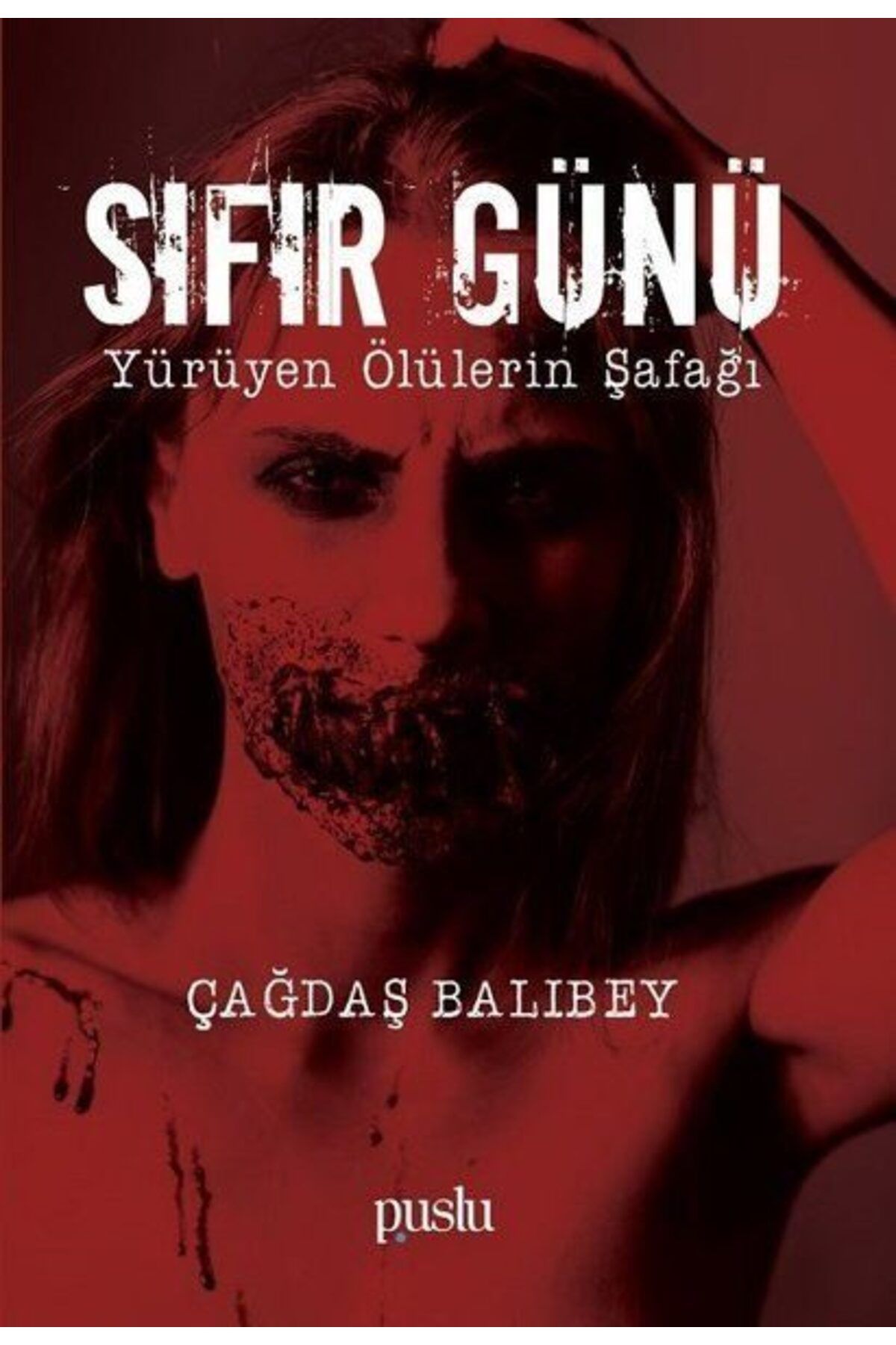 Puslu Yayıncılık Sıfır Günü