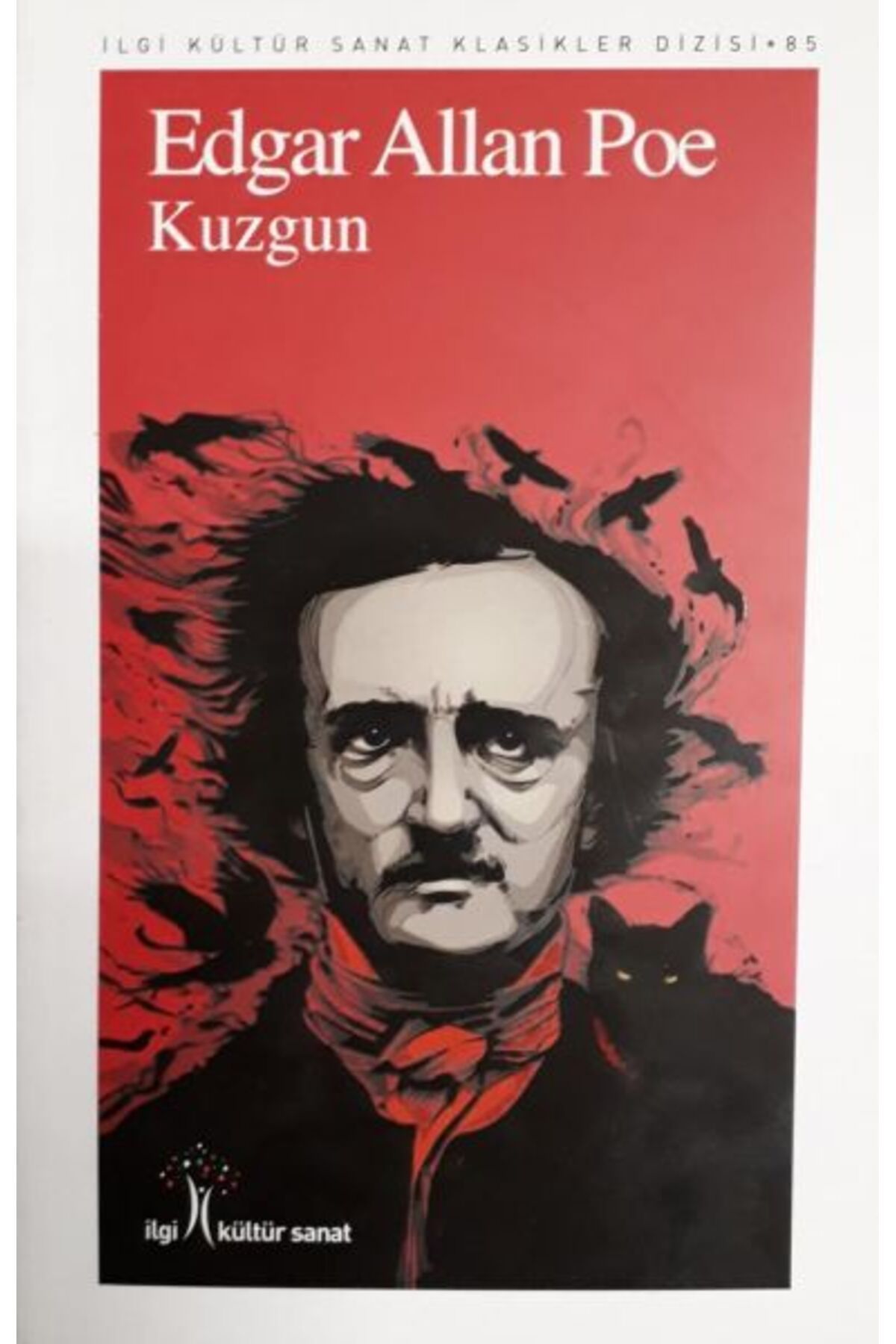 İlgi Kültür Sanat Yayıncılık Kuzgun