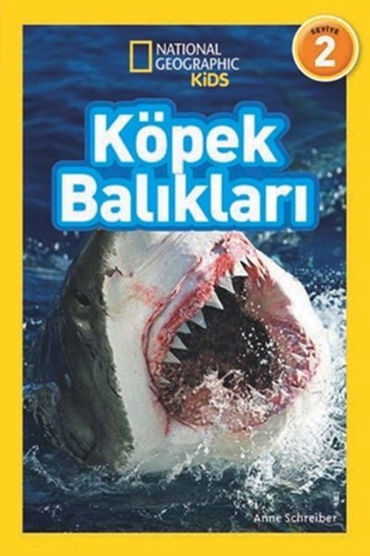 Destek Yayınları Kids Köpek Balıkları