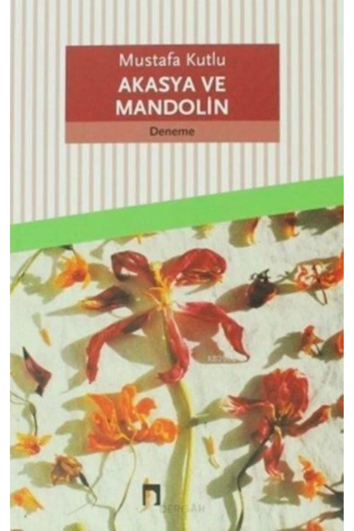 Destek Yayınları Akasya ve Mandolin