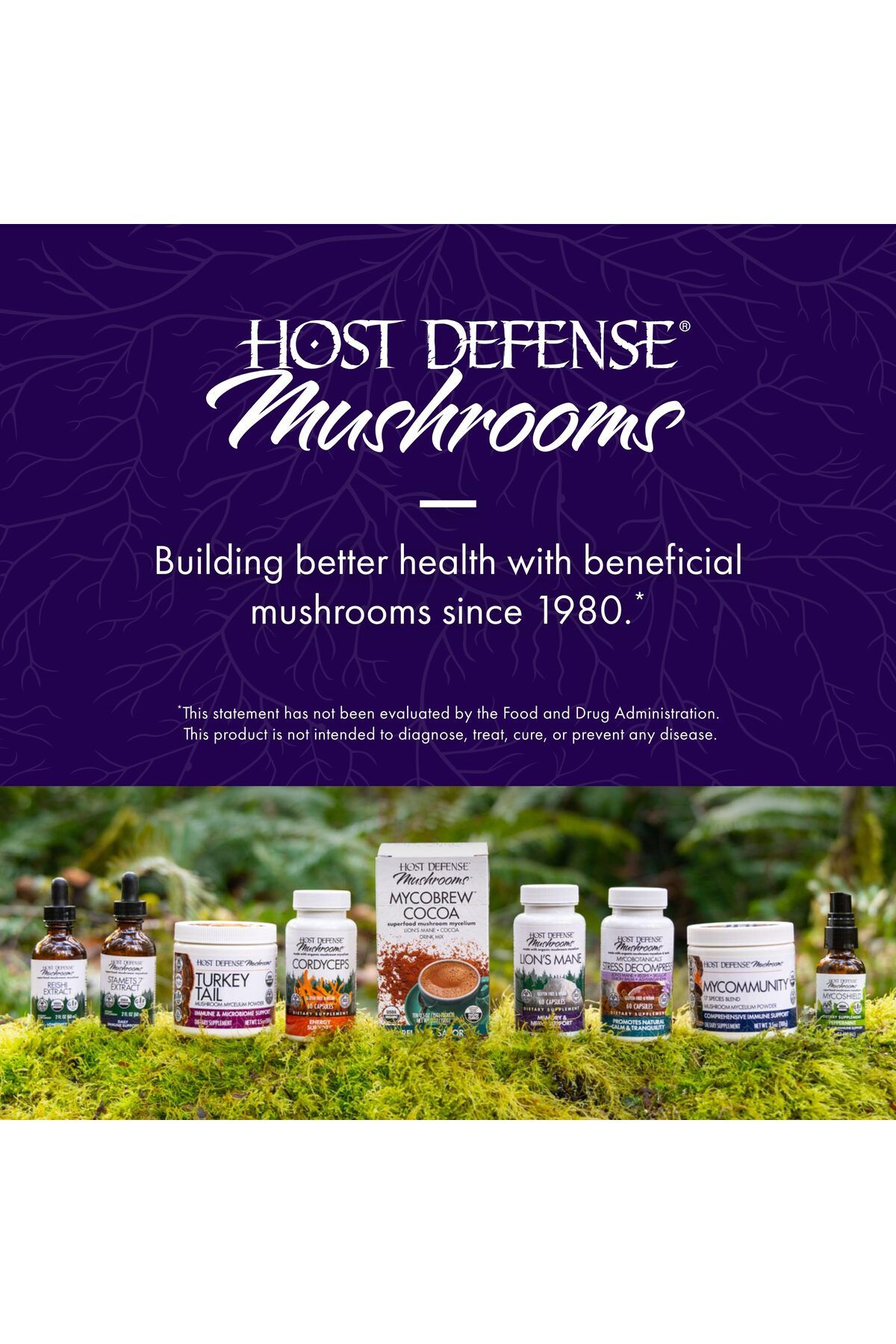 Host Defense-Lion's Mane Extract - Brain Health, Focus & Memory Support - 1 fl oz (30 Servings) 7