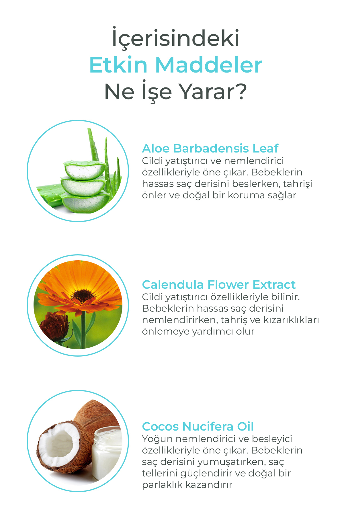 WAGG Cosmetics Organik Göz yakmayan Bebek Saç şampuanı 300ML fotoğrafı 2 (önizleme)