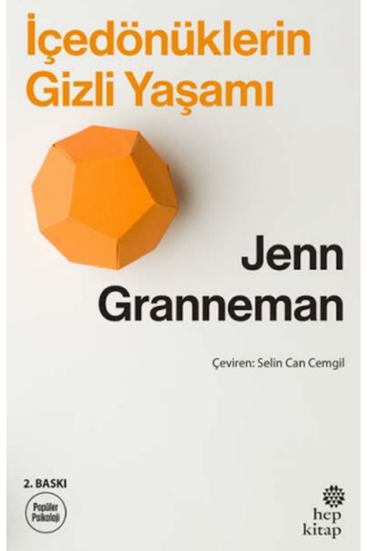 Destek Yayınları İçedönüklerin Gizli Yaşamı