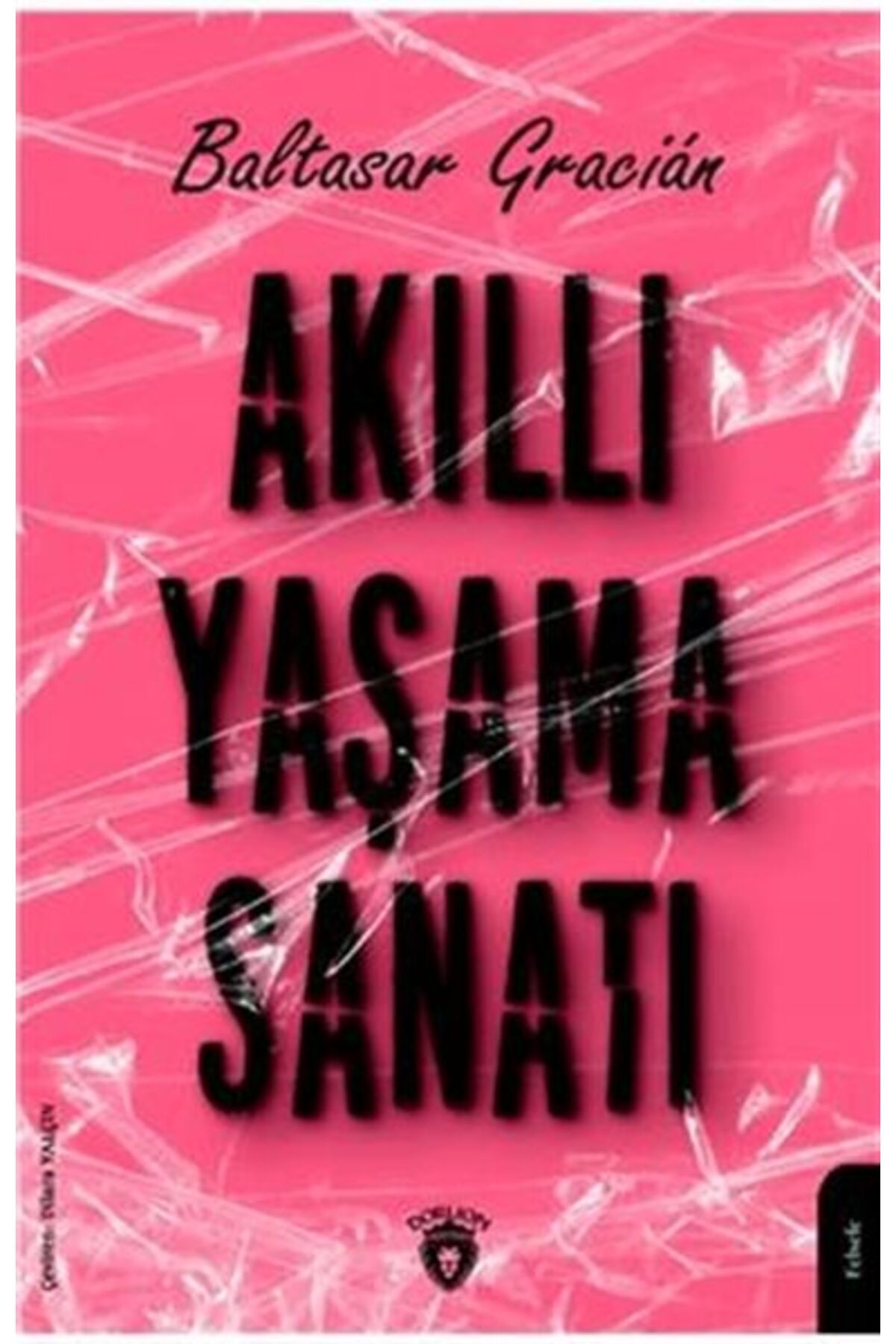 Destek Yayınları Akıllı Yaşama Sanatı