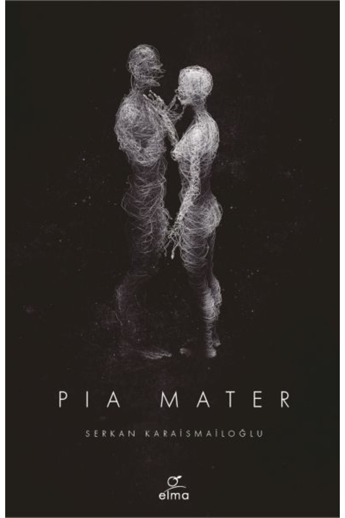 Destek Yayınları Pia Mater - İngilizce