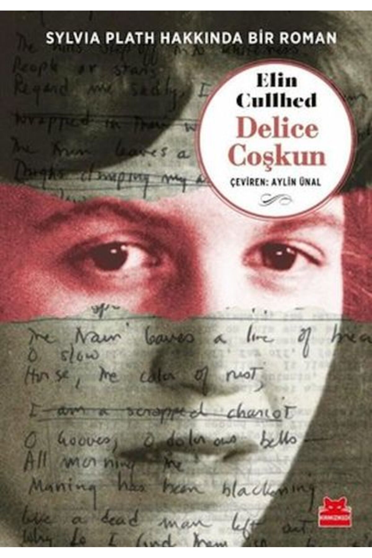 Kırmızı Kedi Çocuk Delice Coşkun - Sylvia Plath Hakkında Bir Roman