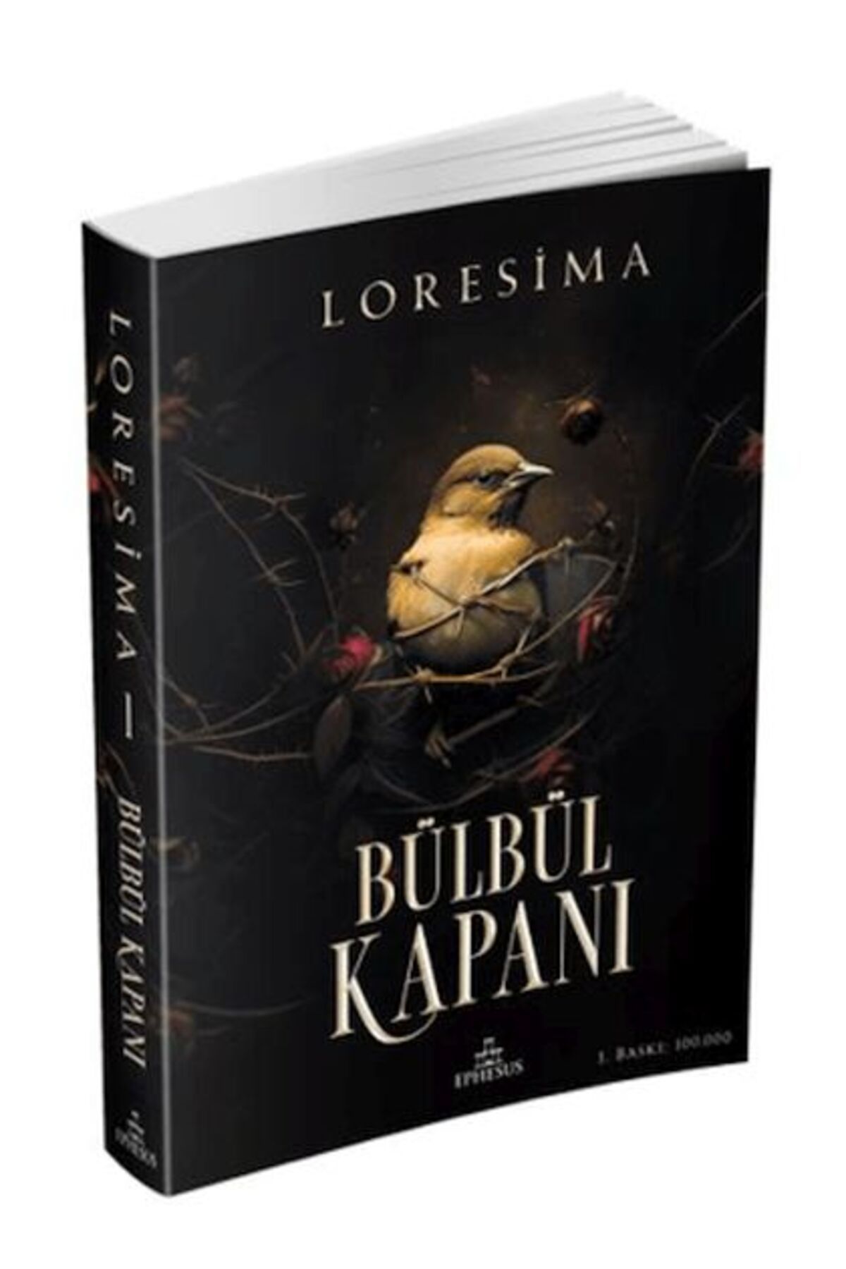 Destek Yayınları Bülbül Kapanı 1