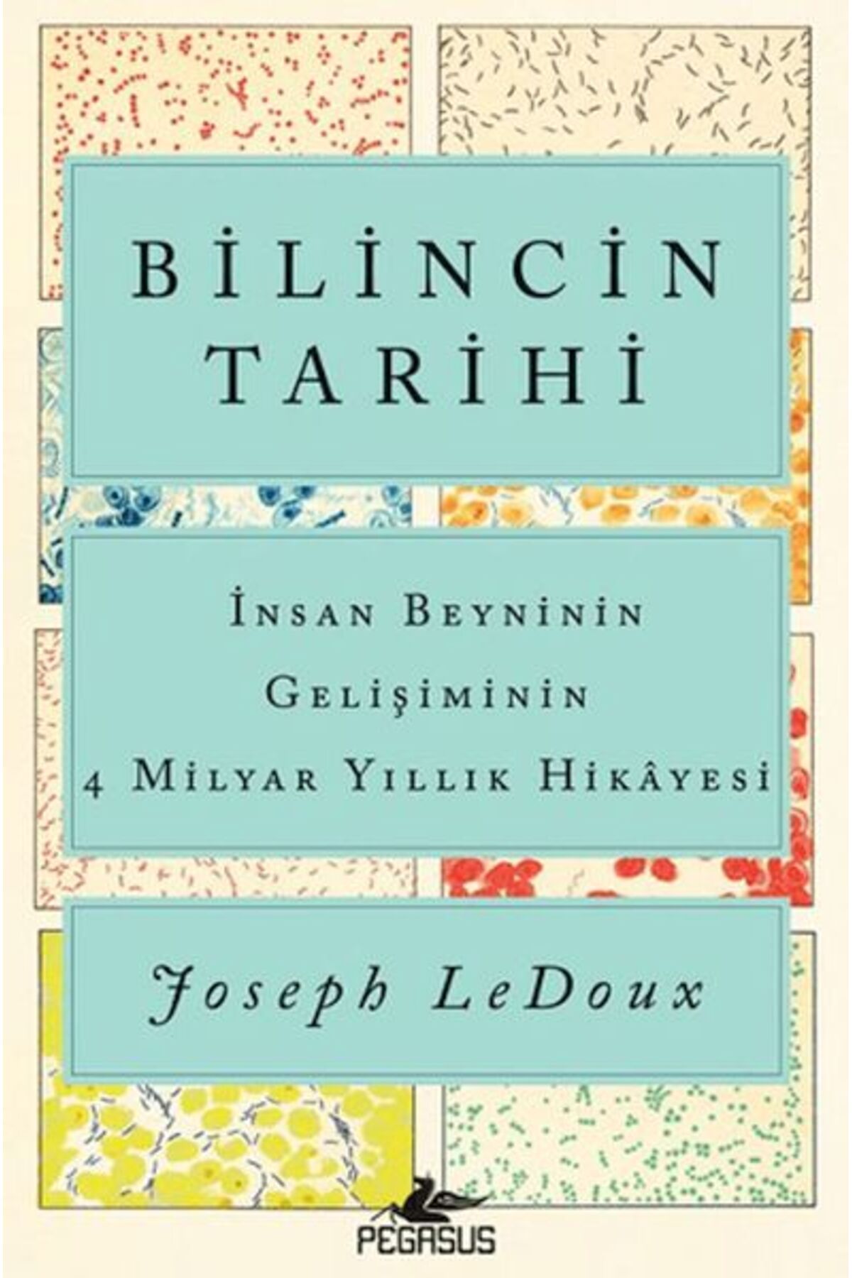 Destek Yayınları Bilincin Tarihi: İnsan Beyninin Gelişiminin 4 Milyar Yıllık Hikayesi