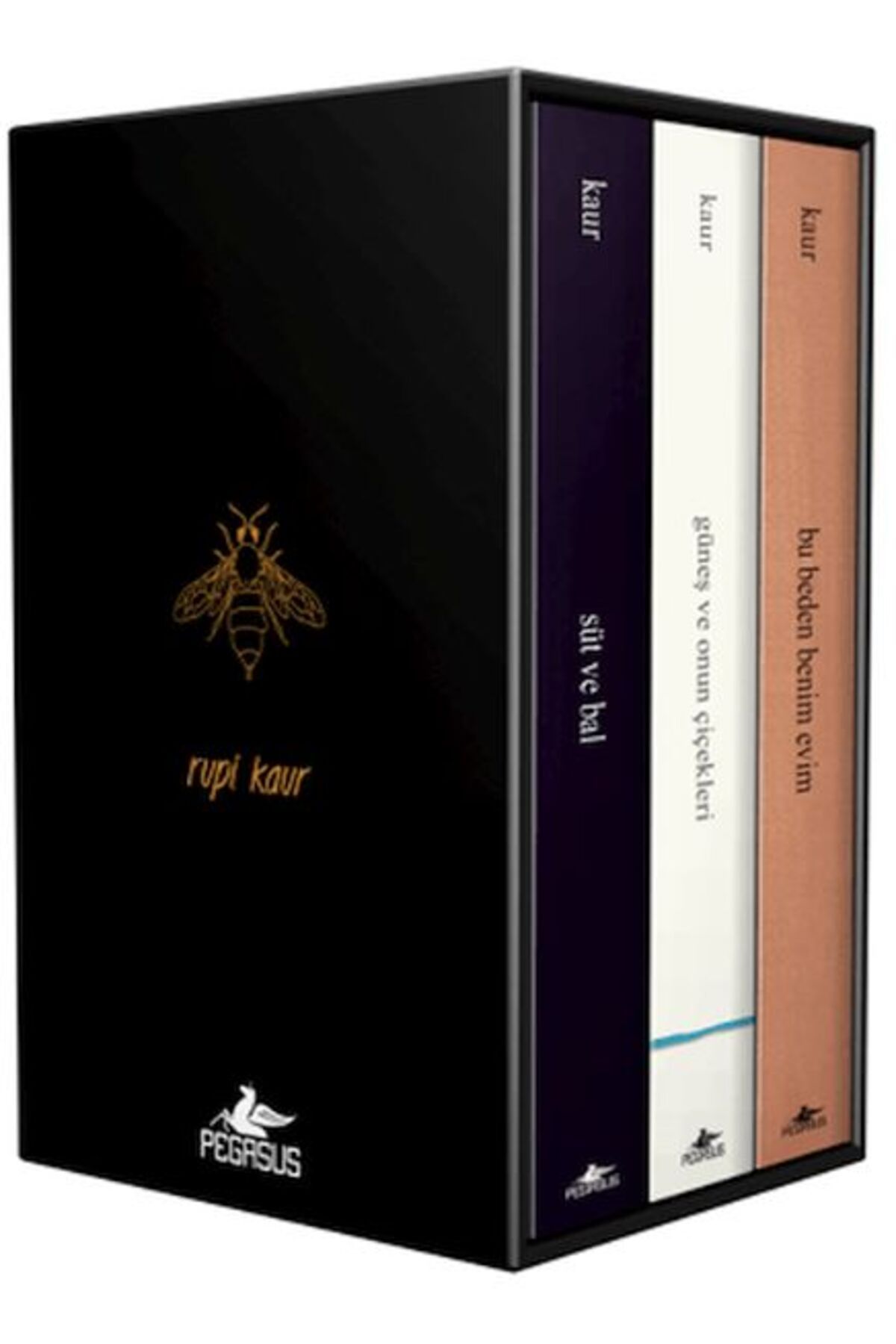 Destek Yayınları Rupi Kaur Şiir Koleksiyonu Kutulu Özel Set 3 Kitap
